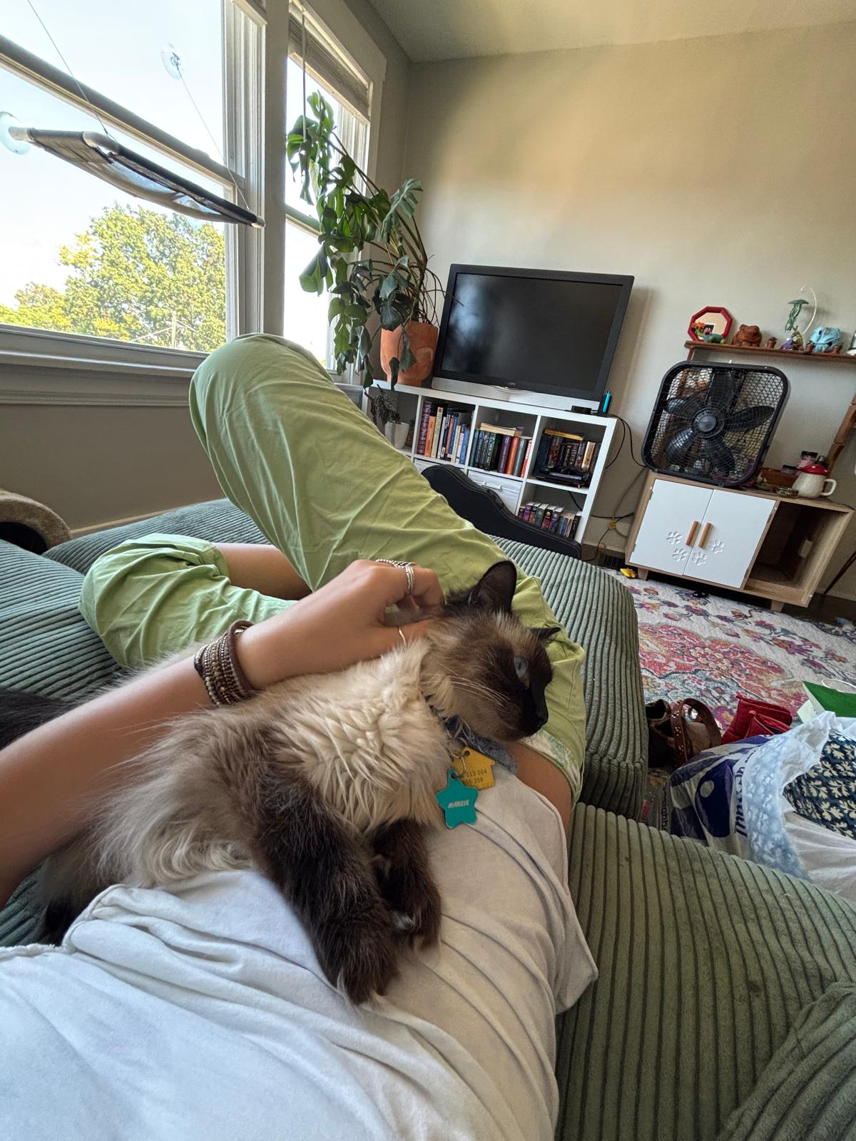 image-10