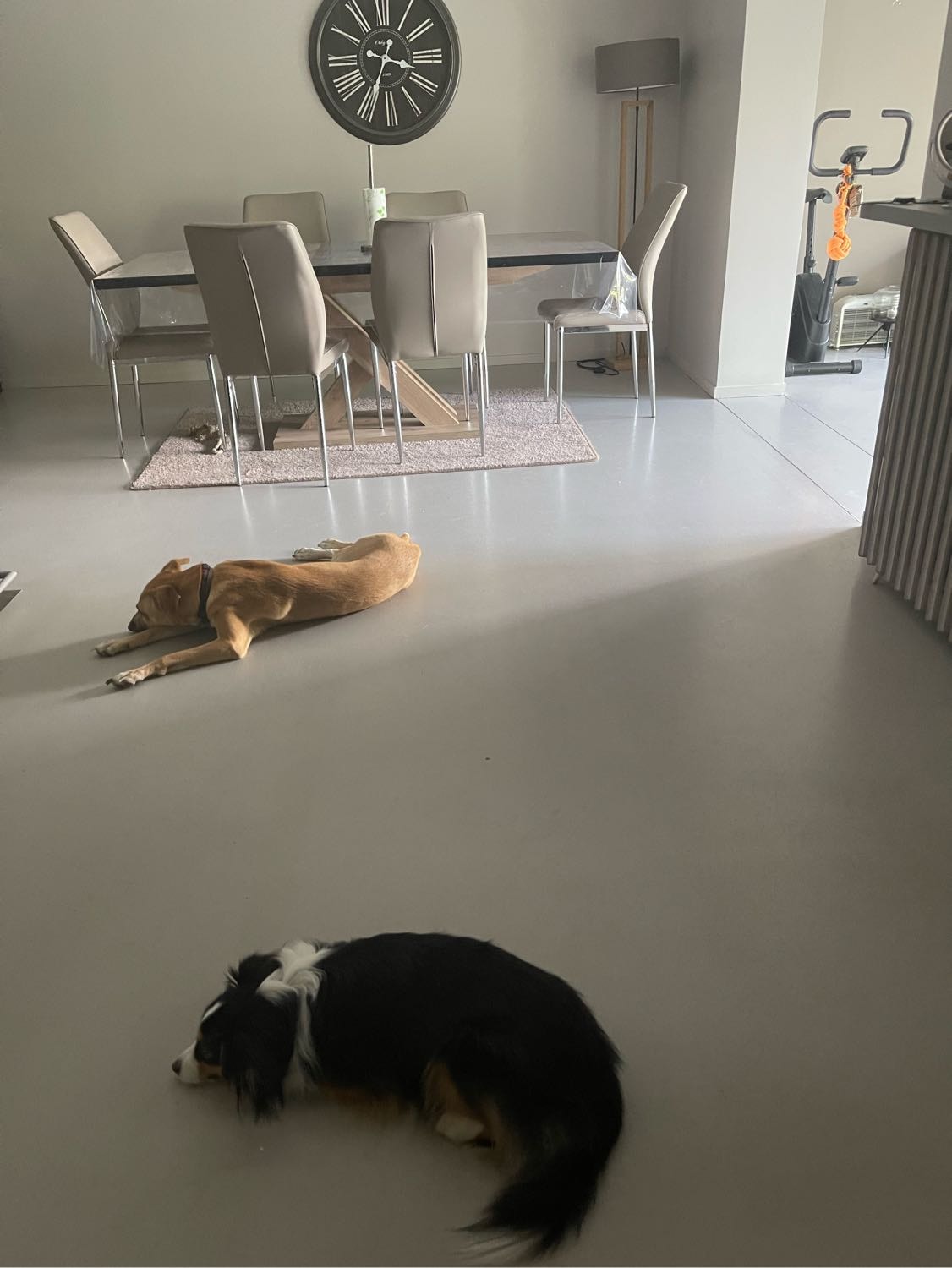 image-18