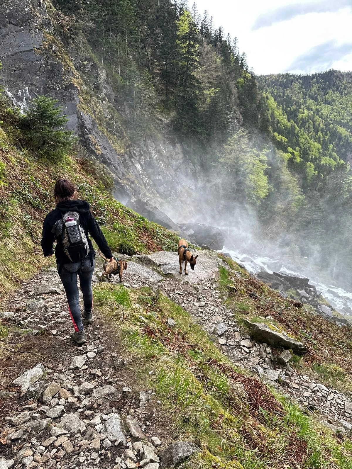 image-10