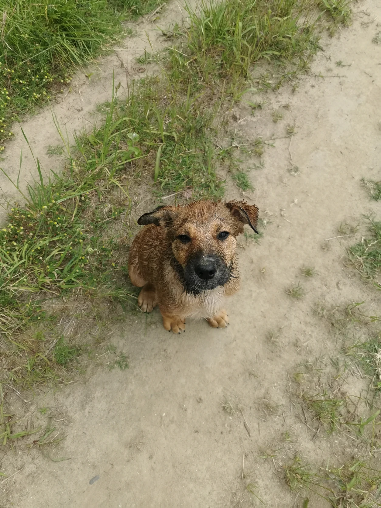 image-6