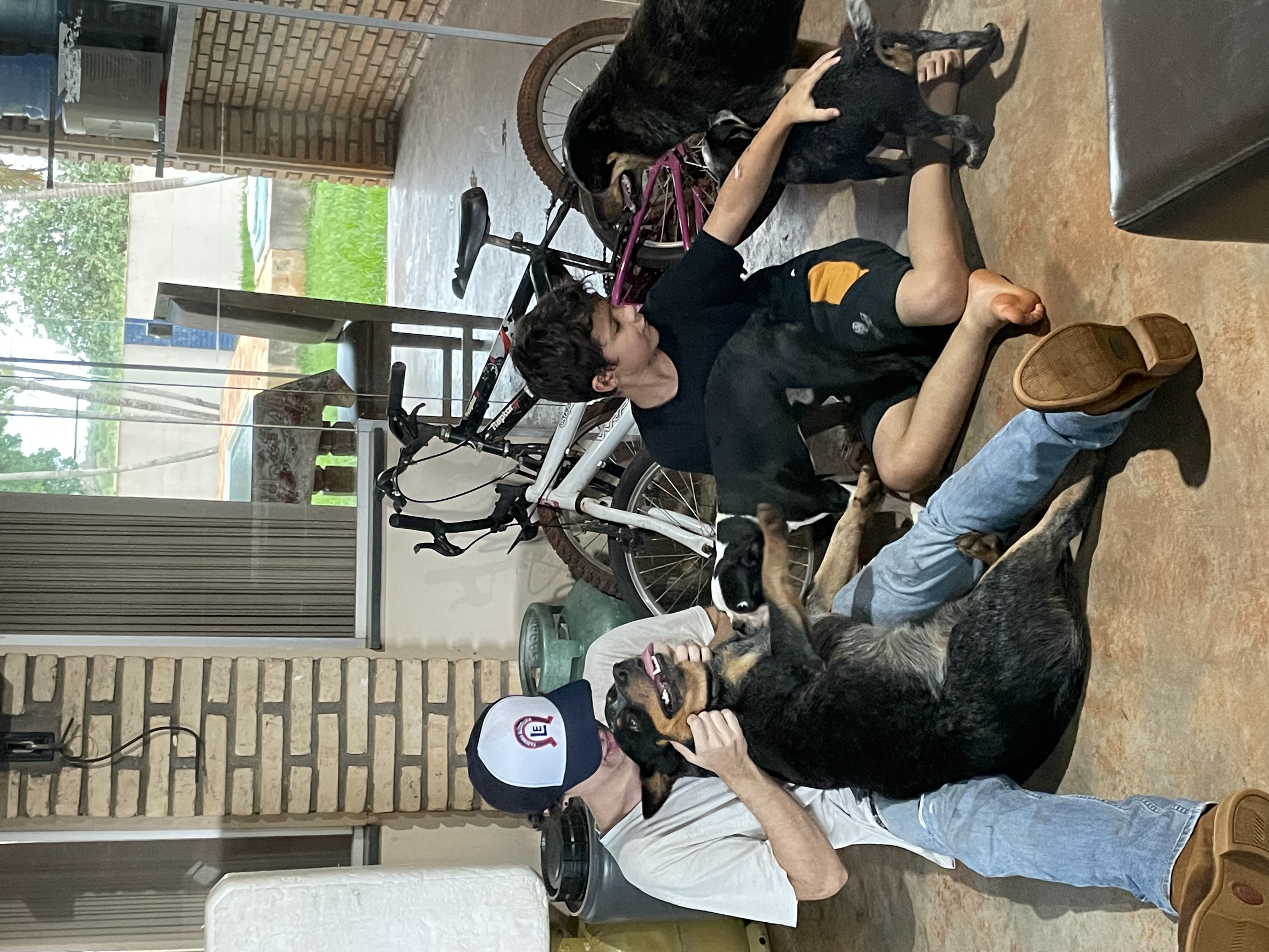 image-15