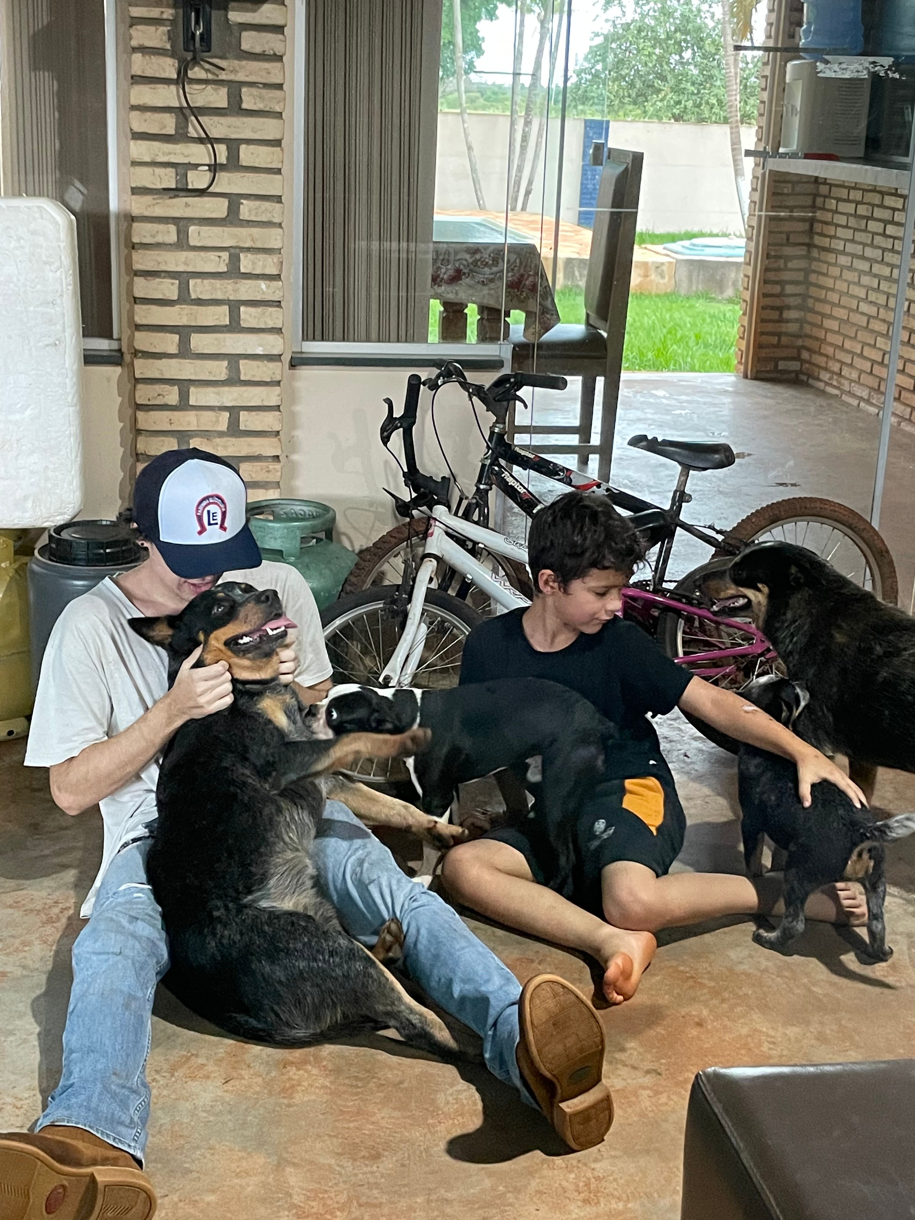 image-15
