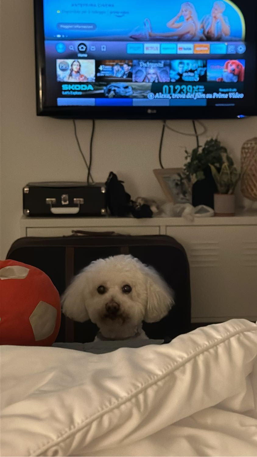 image-9