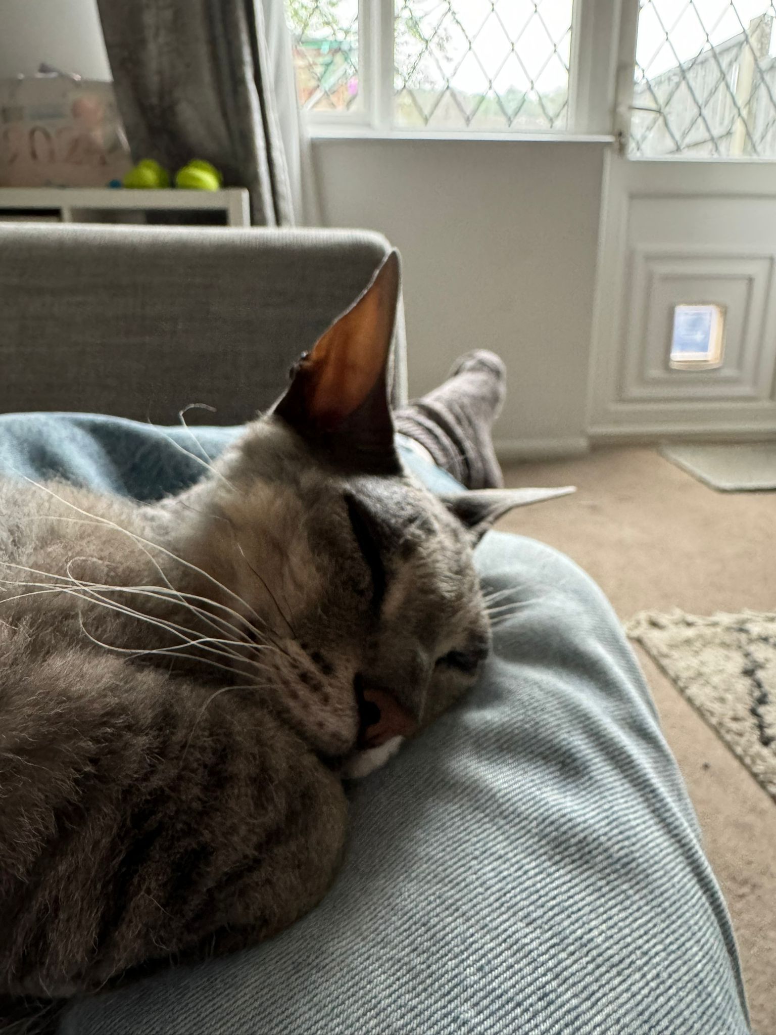 image-7