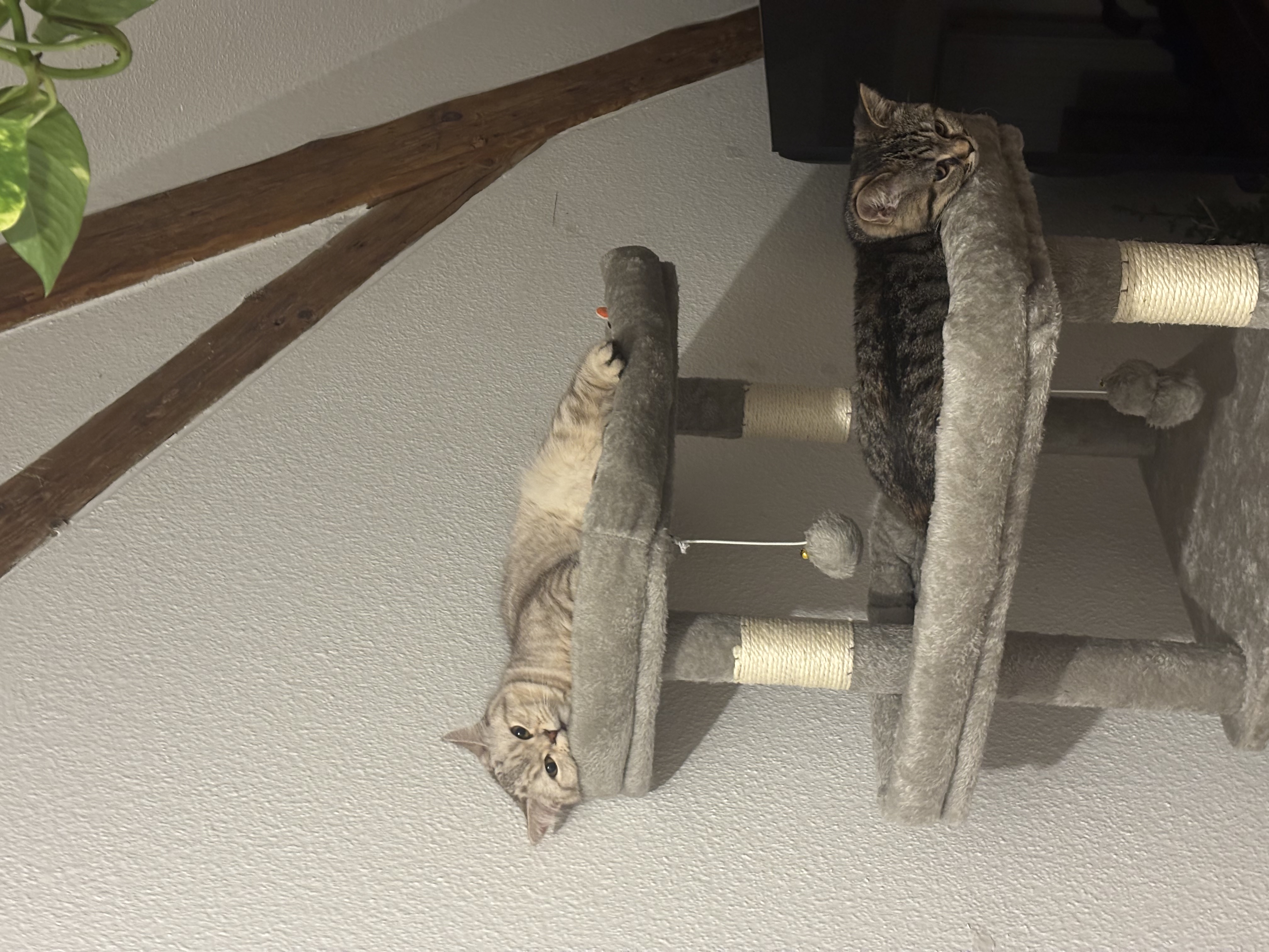 image-28
