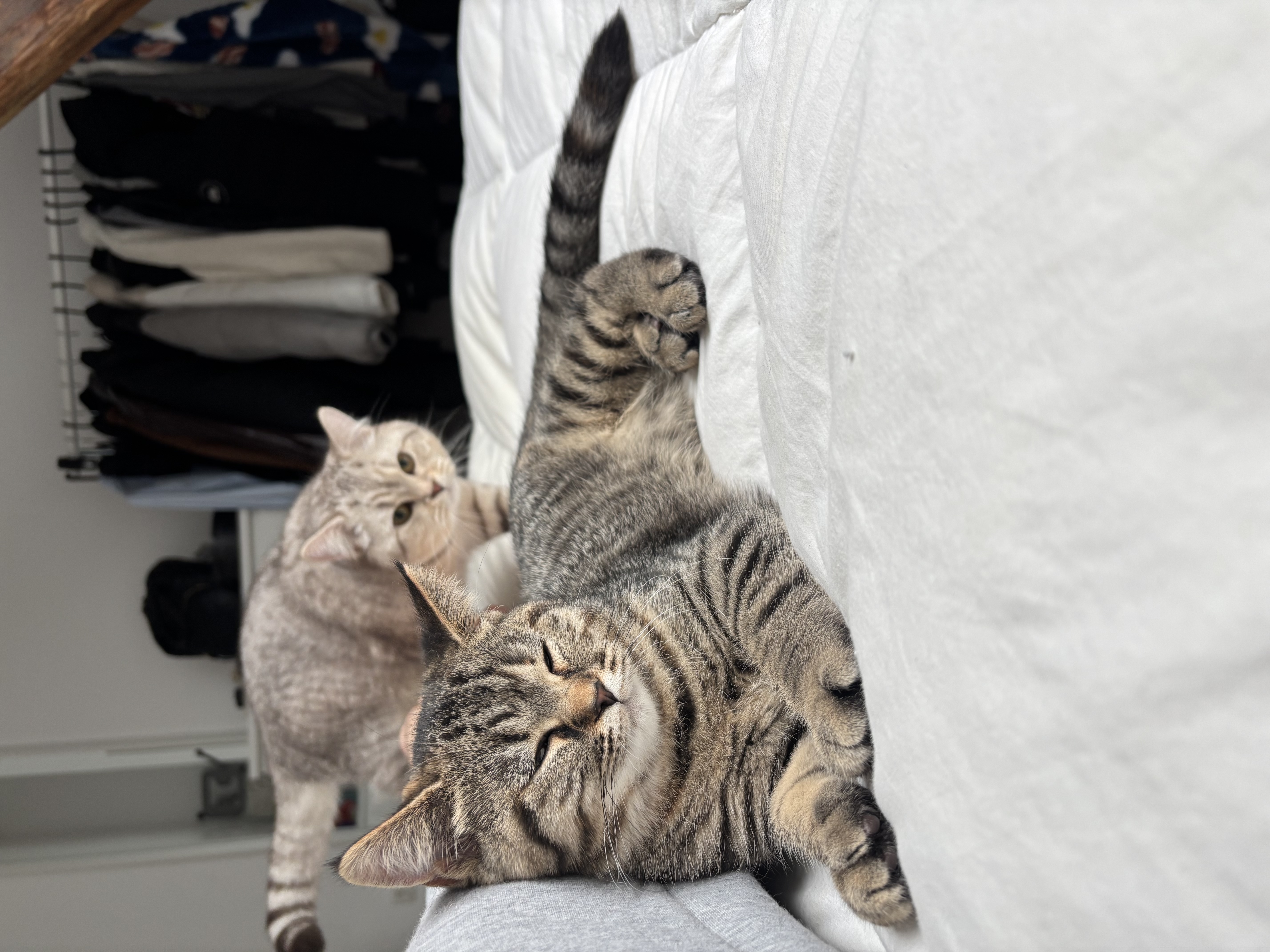 image-27