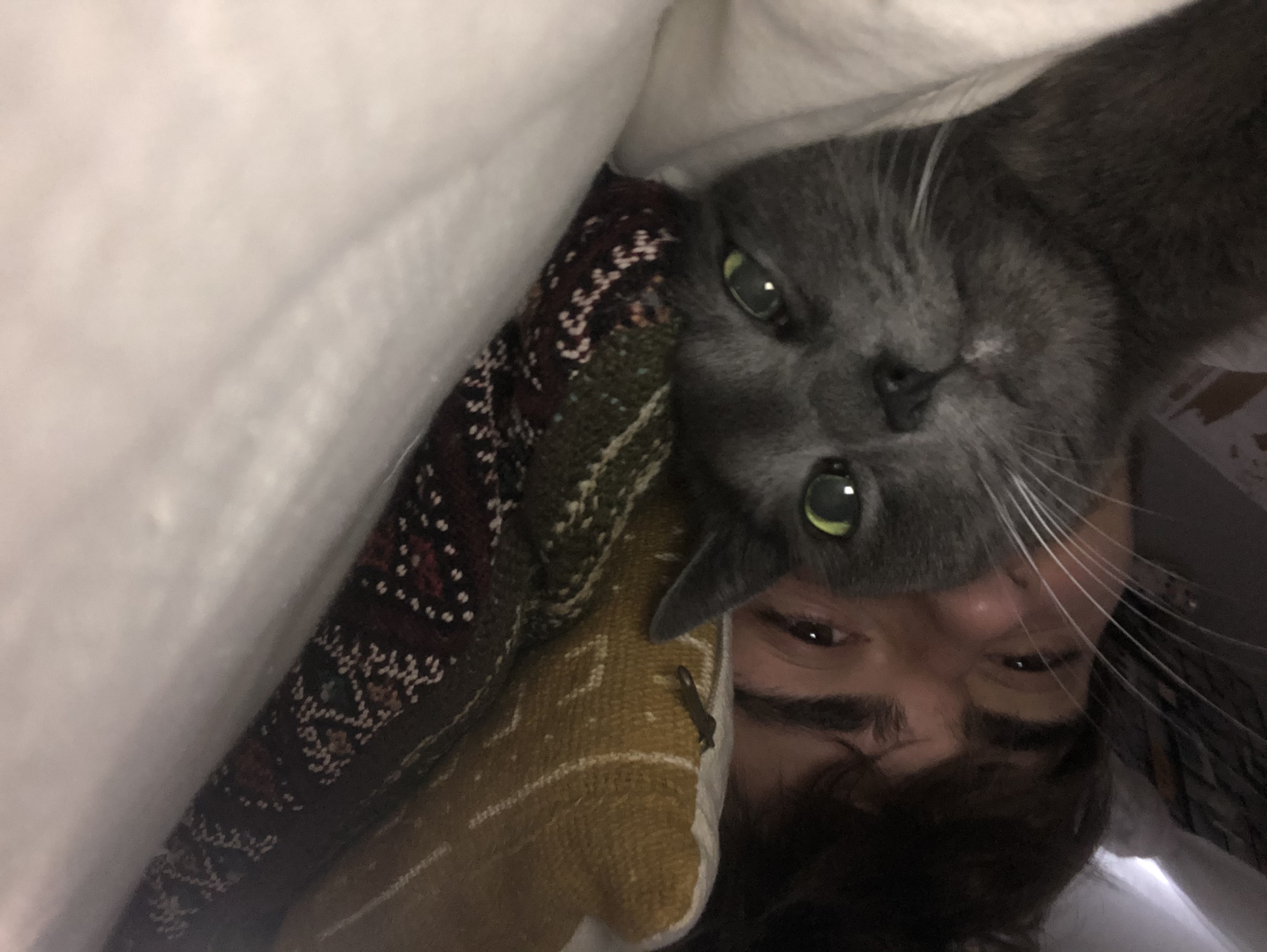image-6