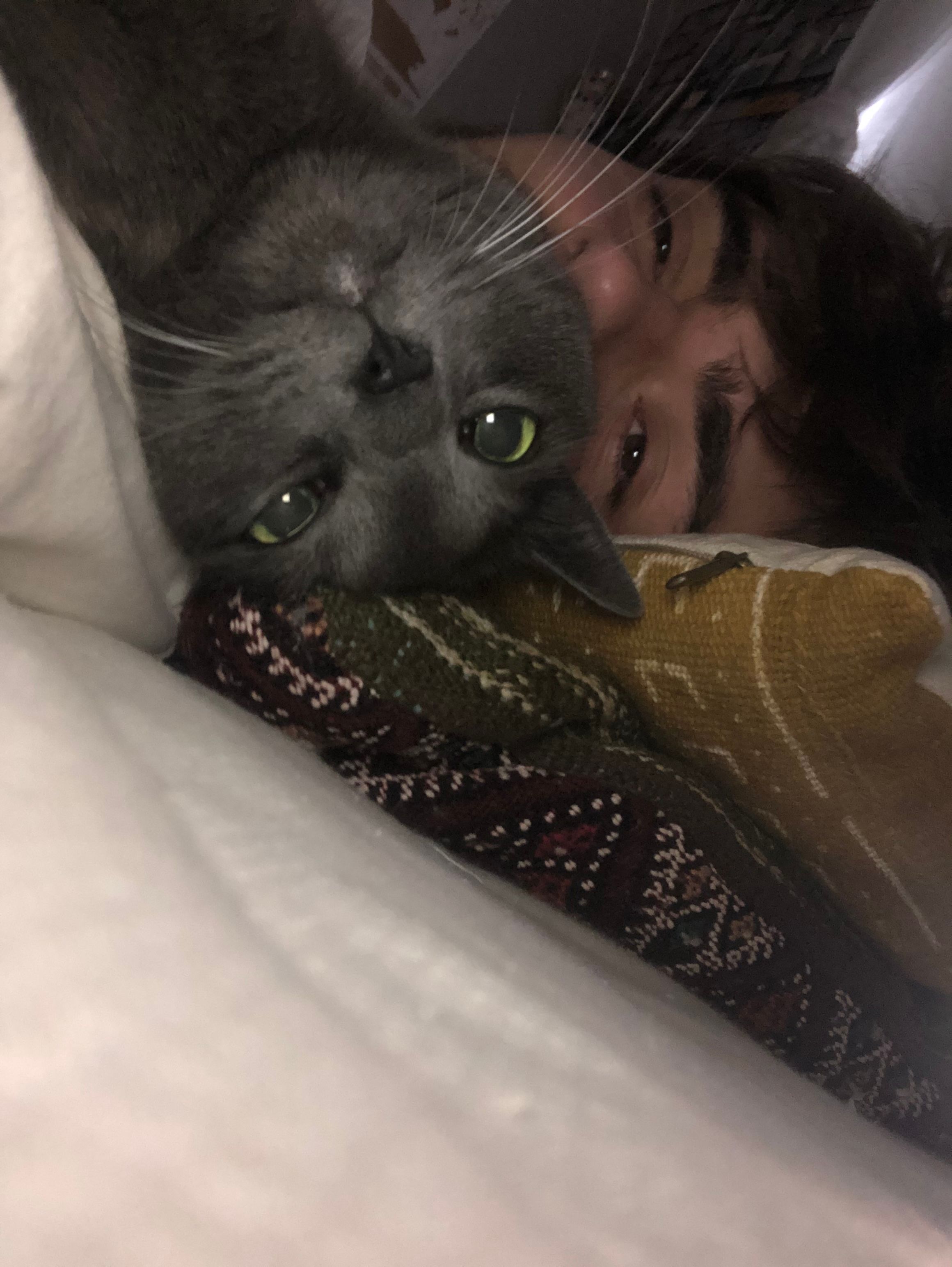 image-6
