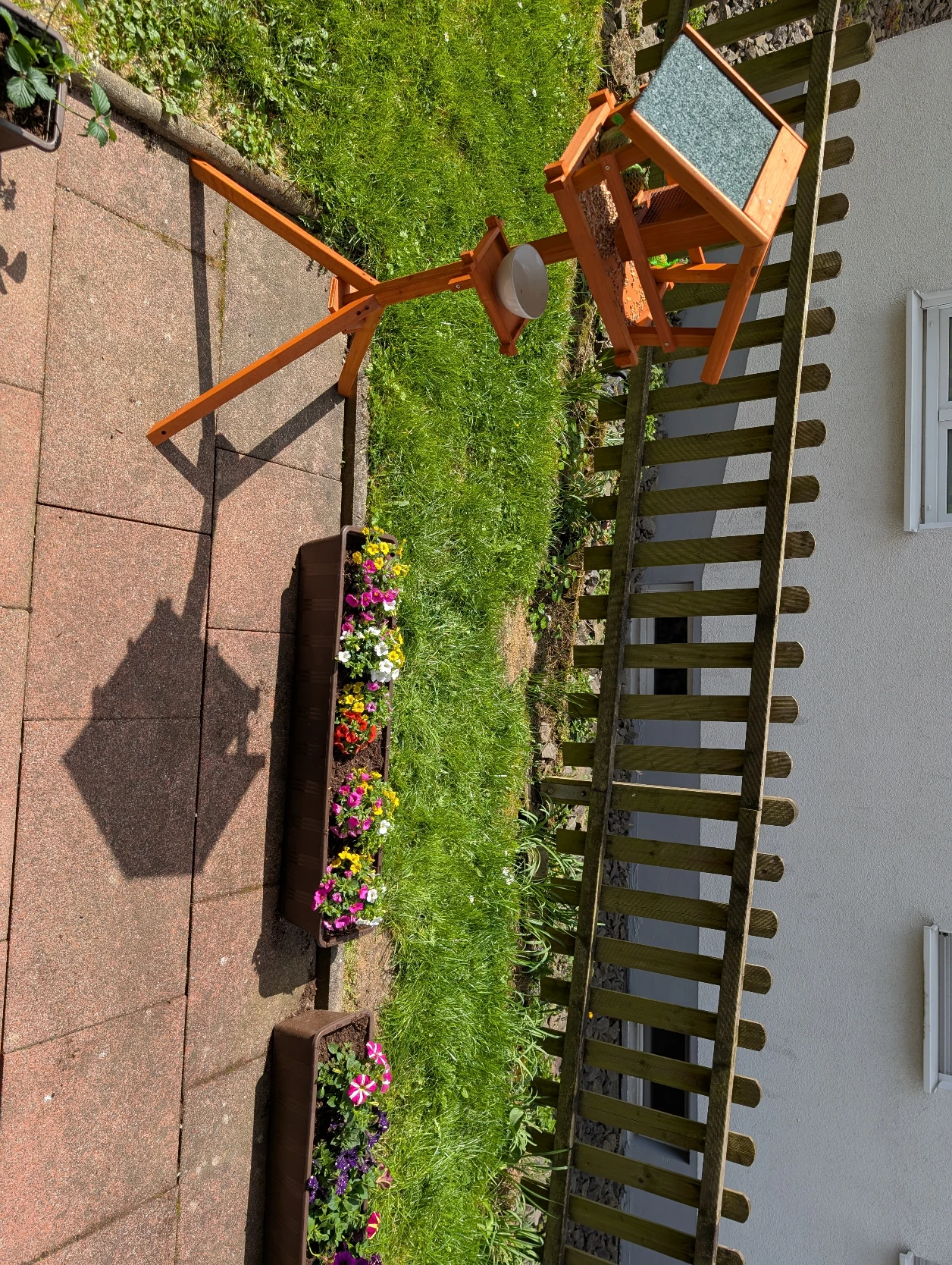 image-18