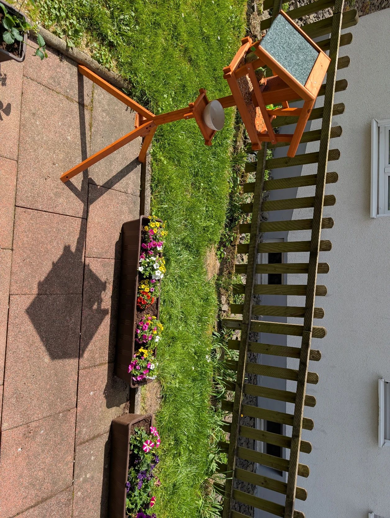 image-18