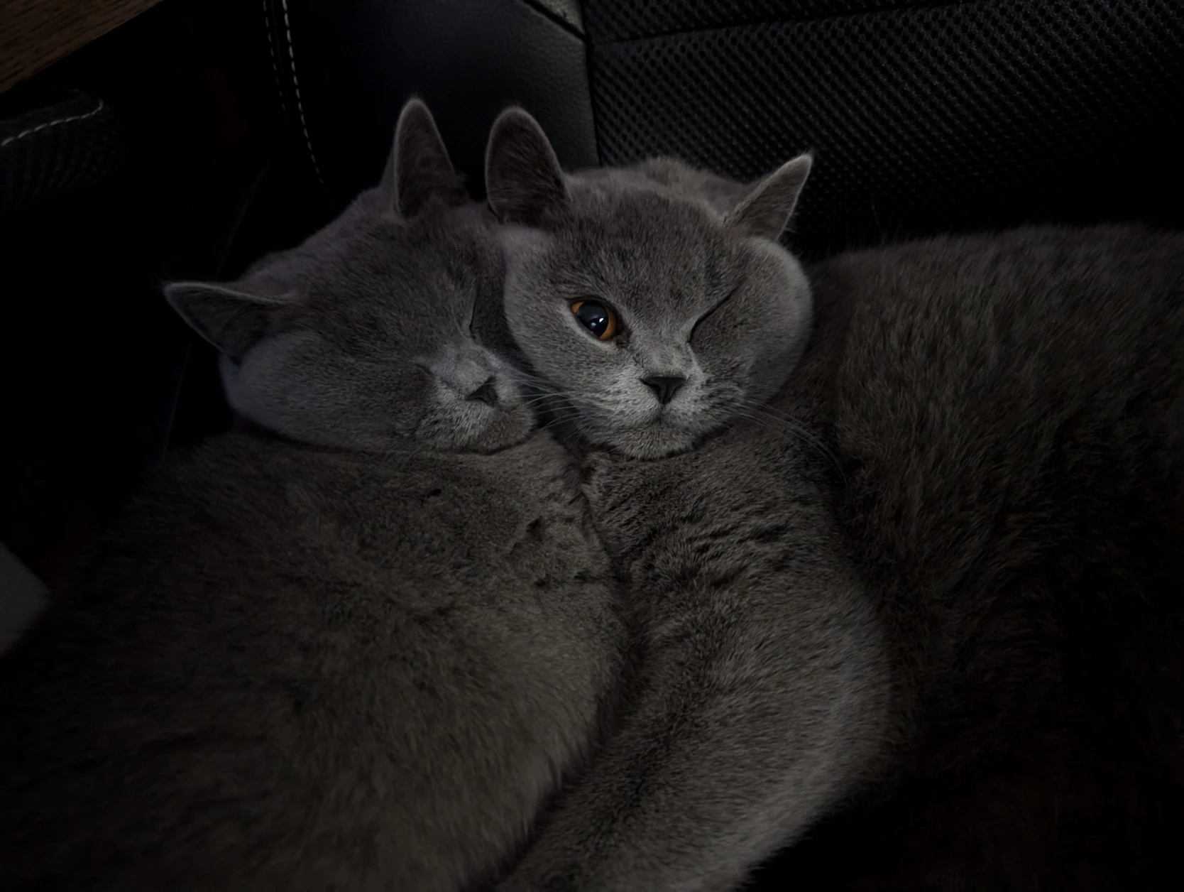 image-14
