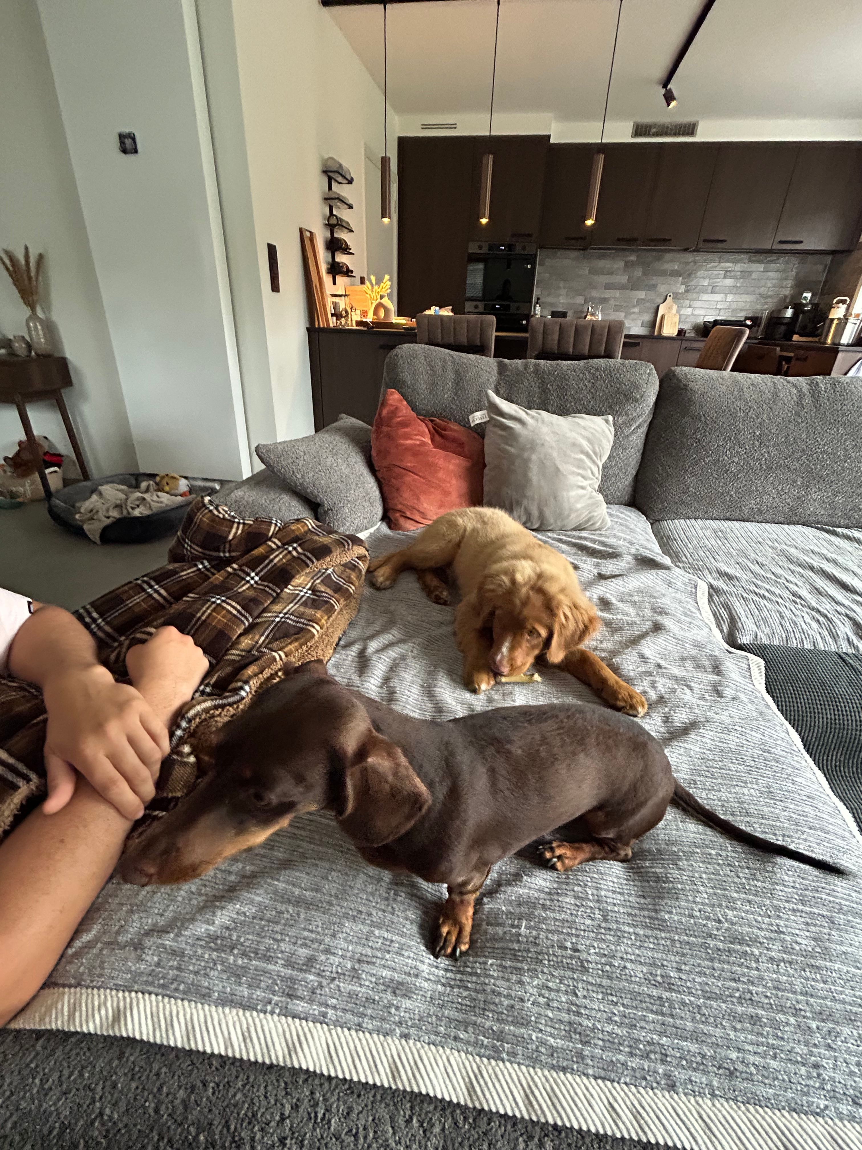 image-10