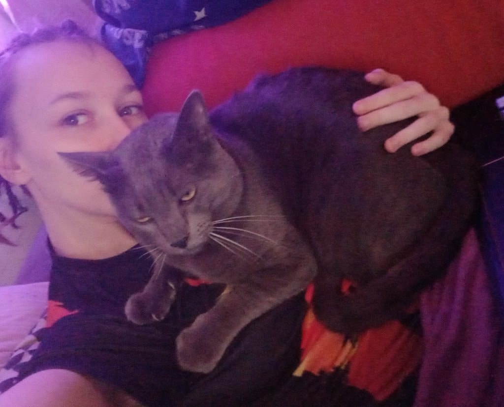image-1