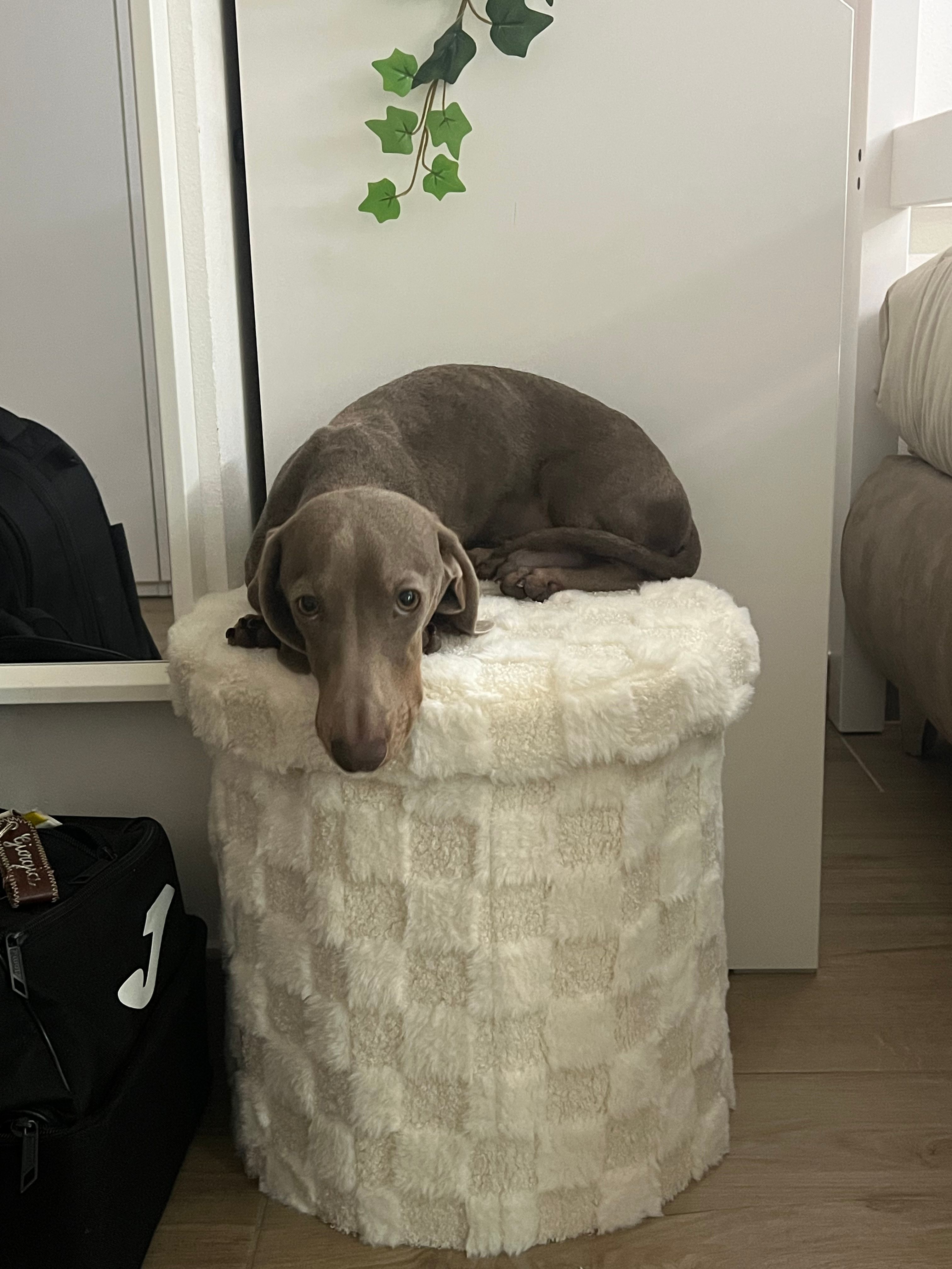 image-8