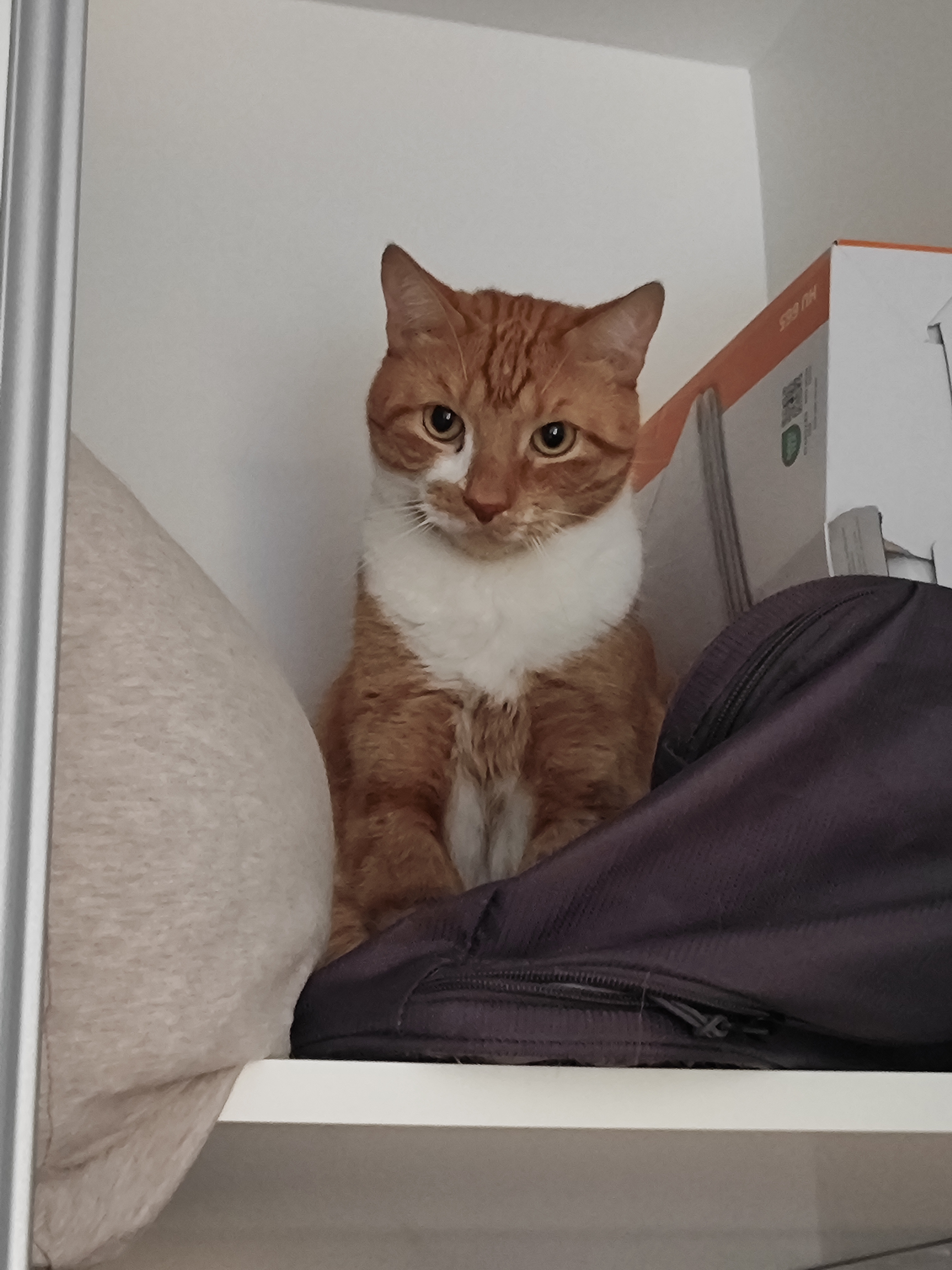 image-8