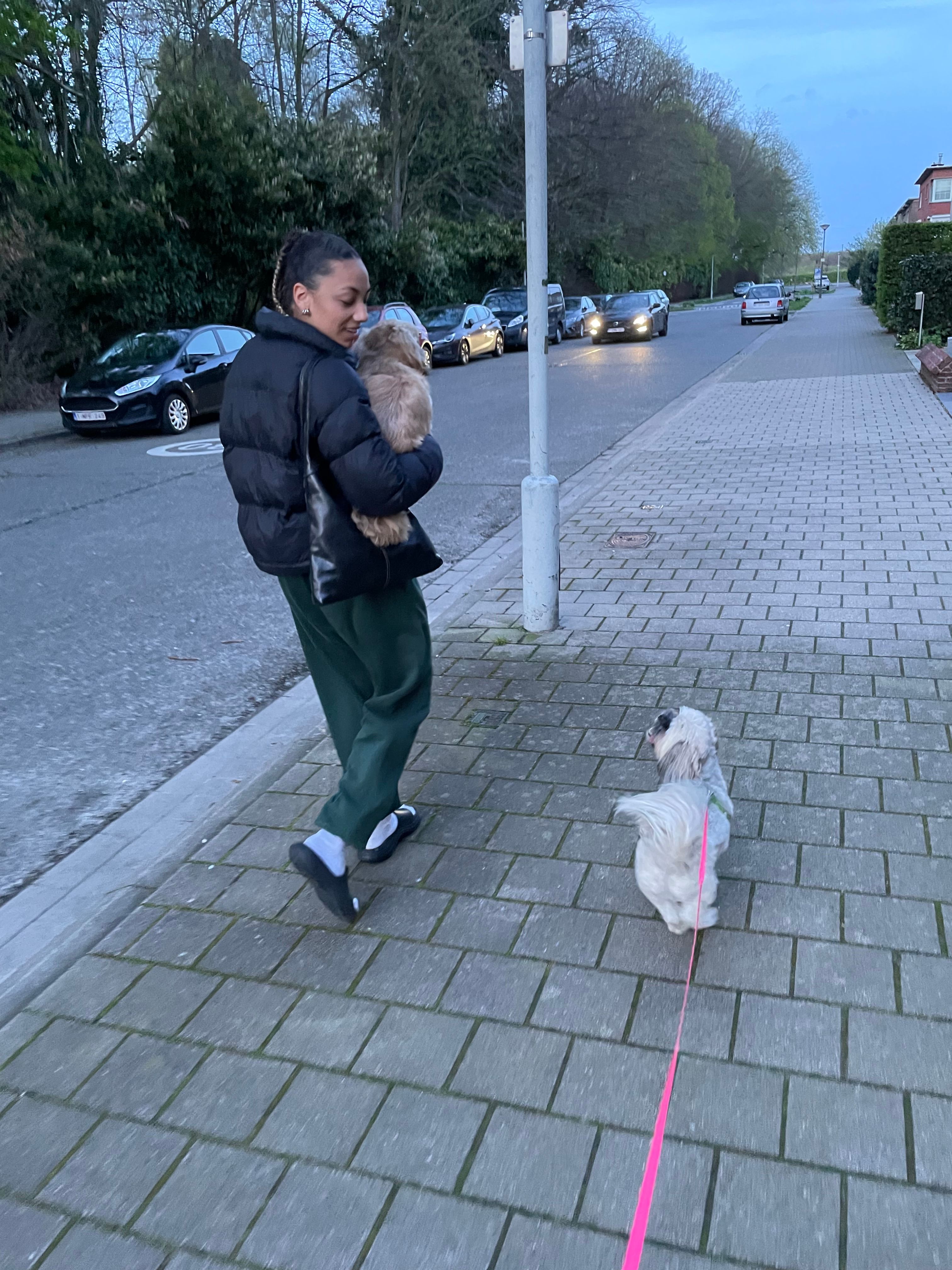 image-8