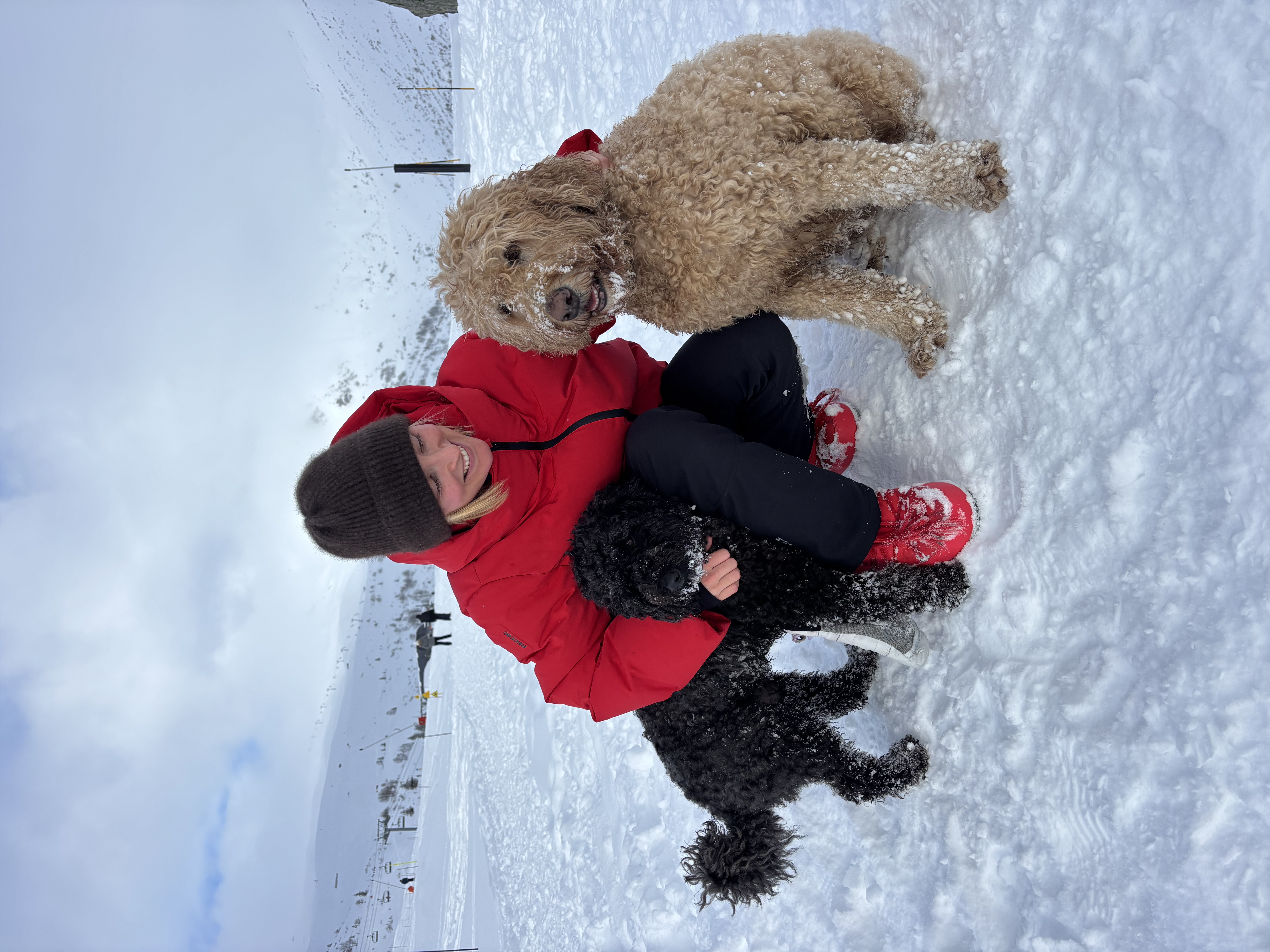 image-6