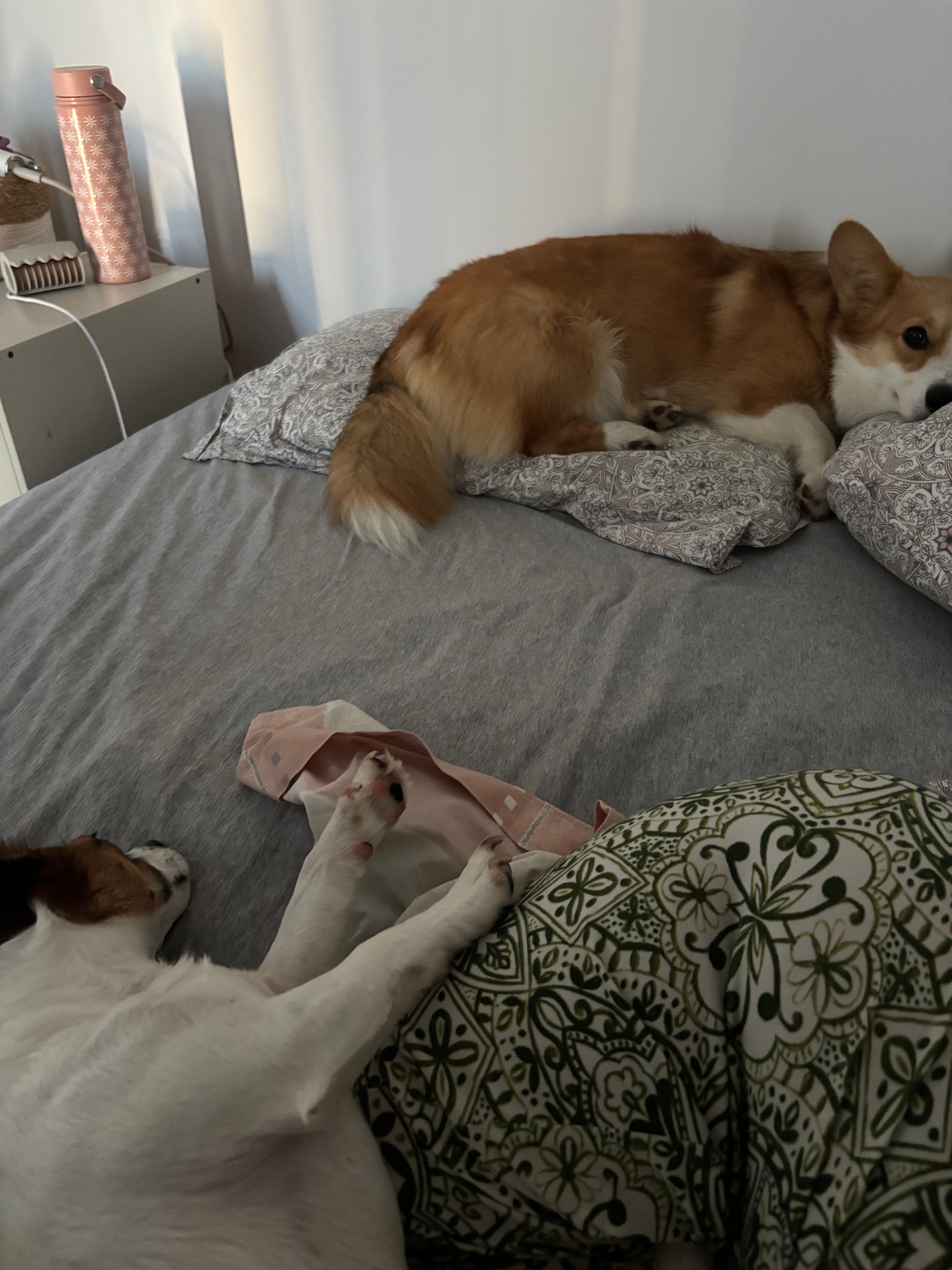 image-17