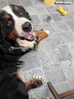 image-7