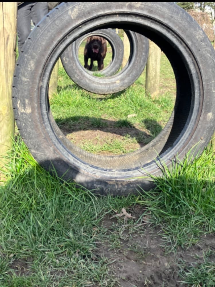 image-6