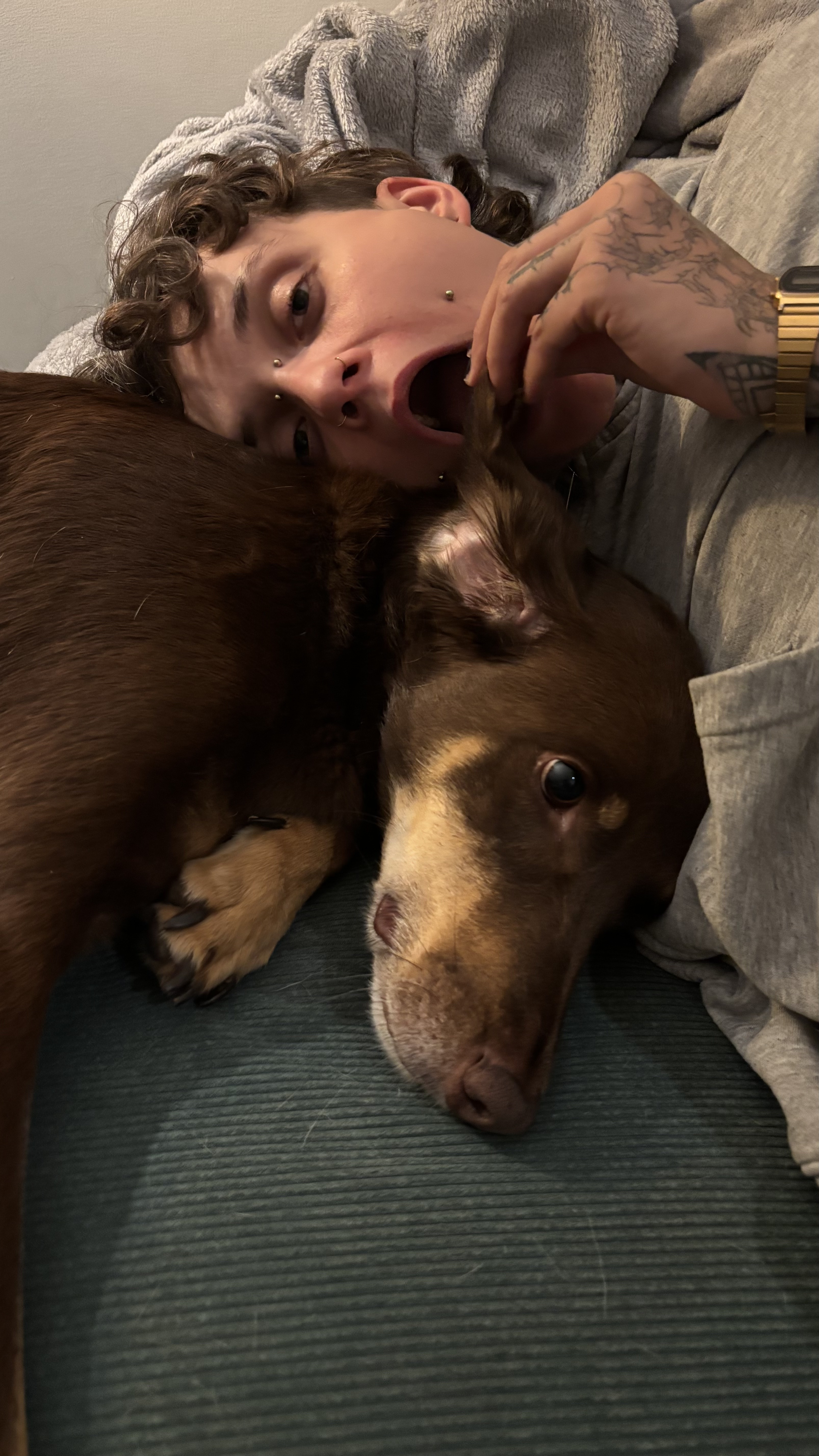 image-9