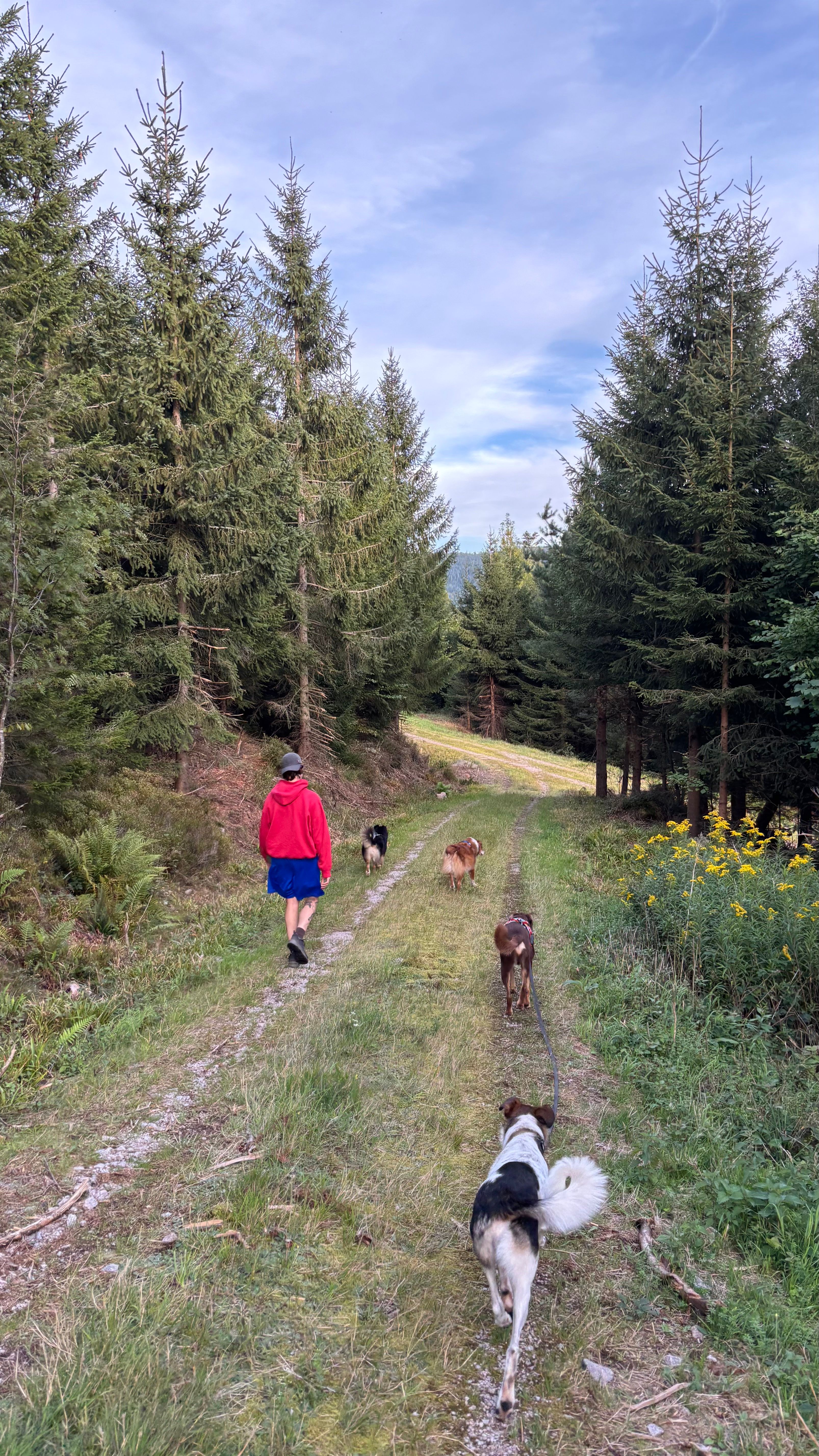 image-5
