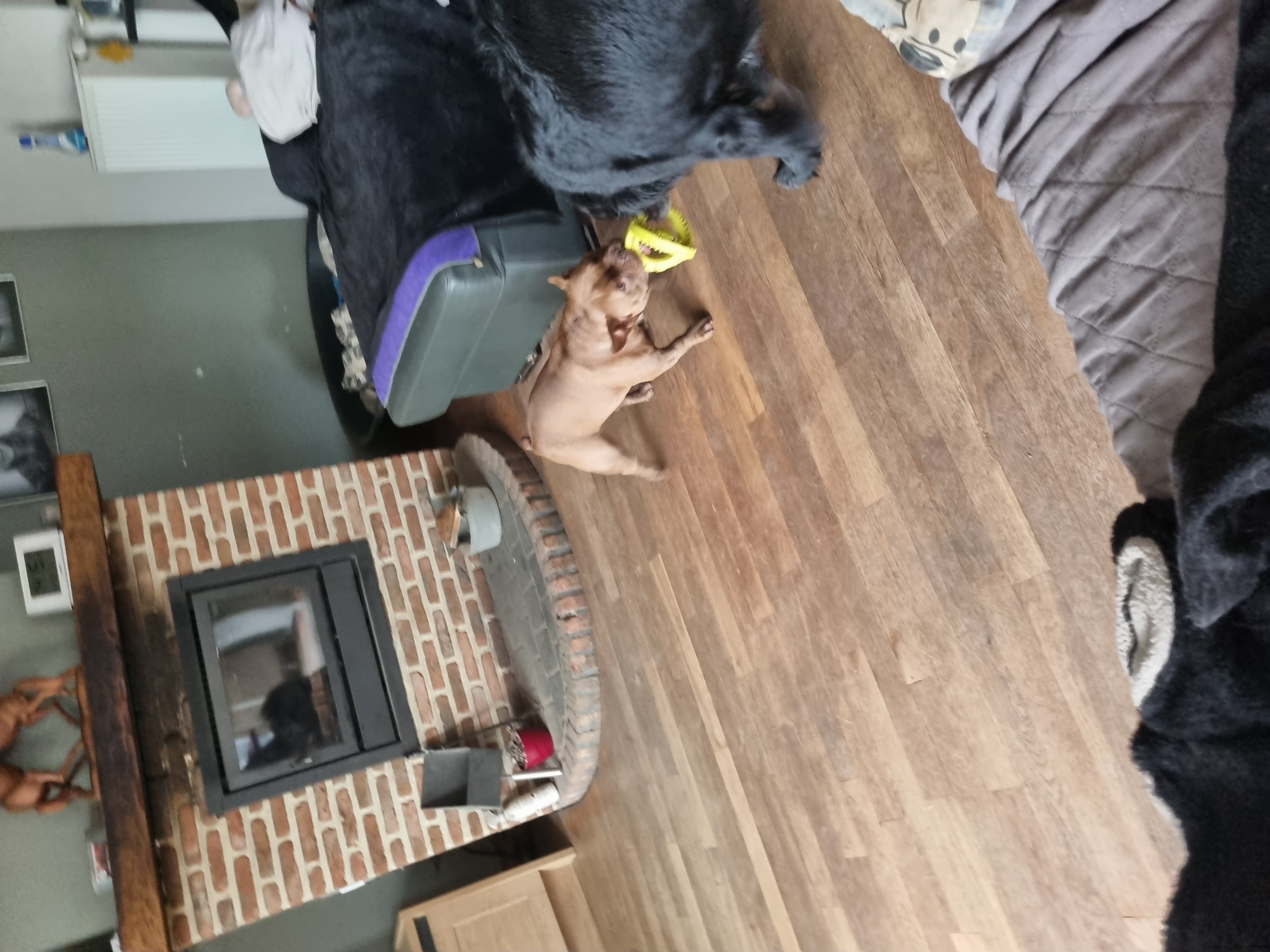 image-13