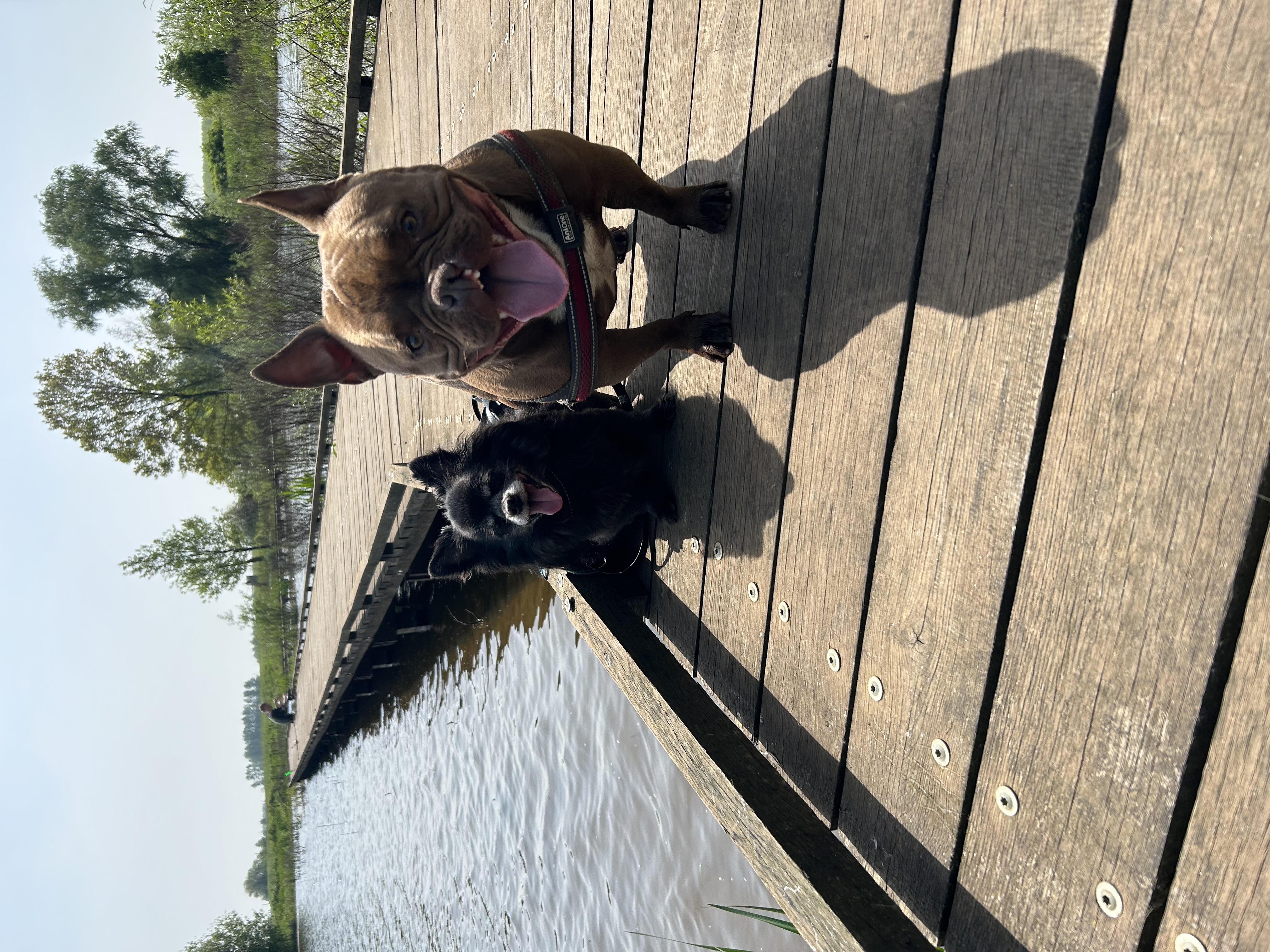 image-20
