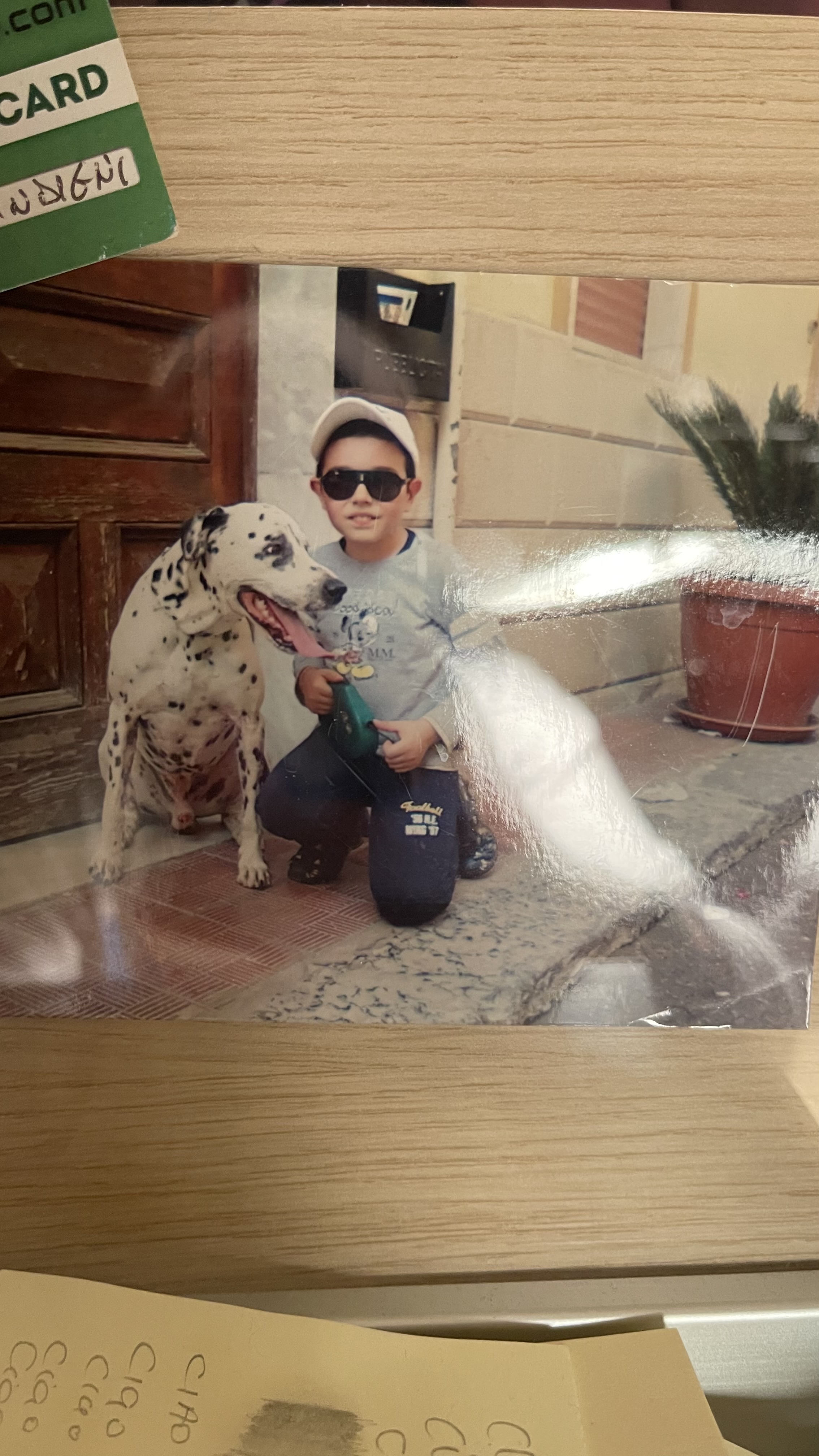image-7