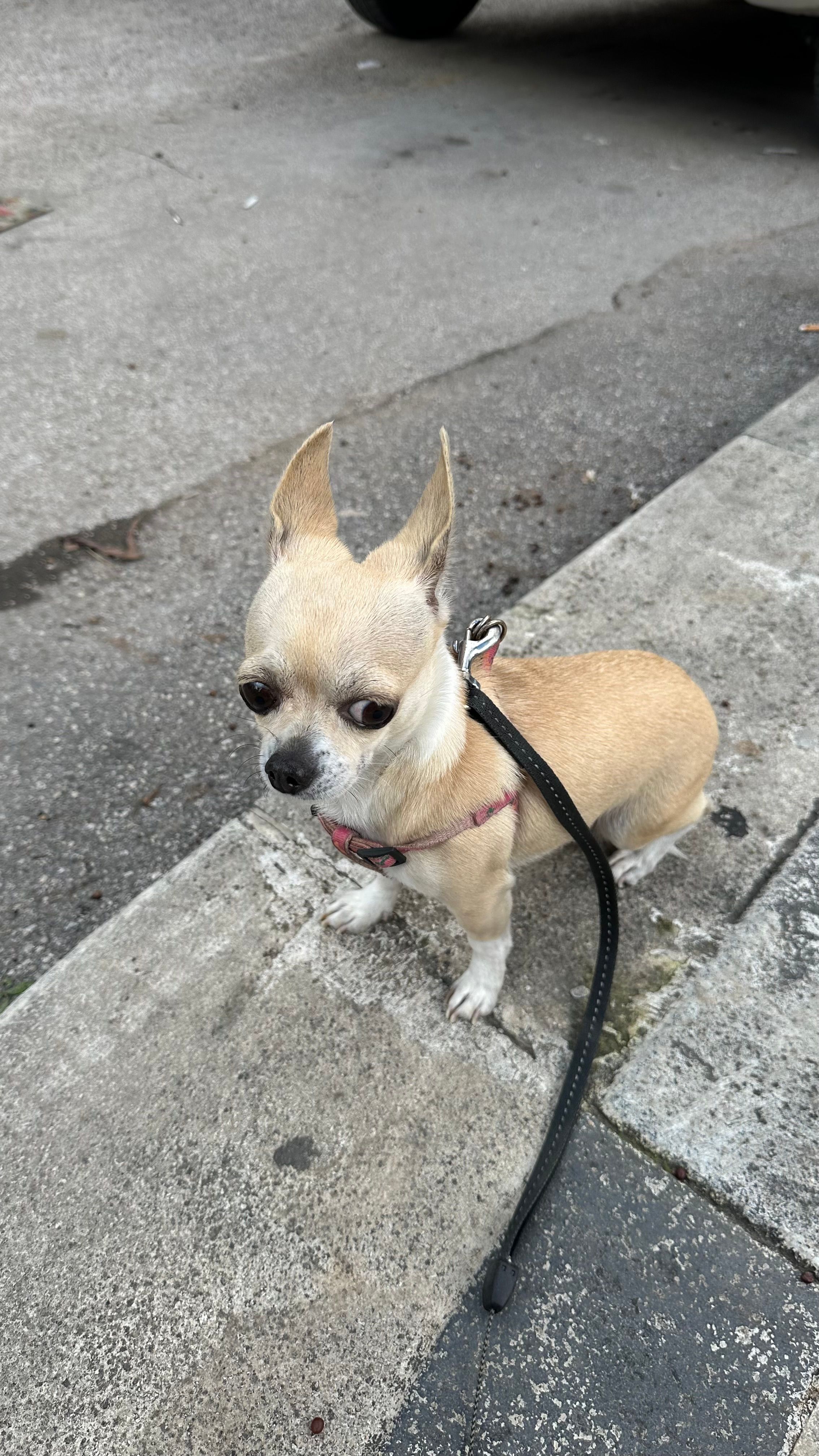 image-18