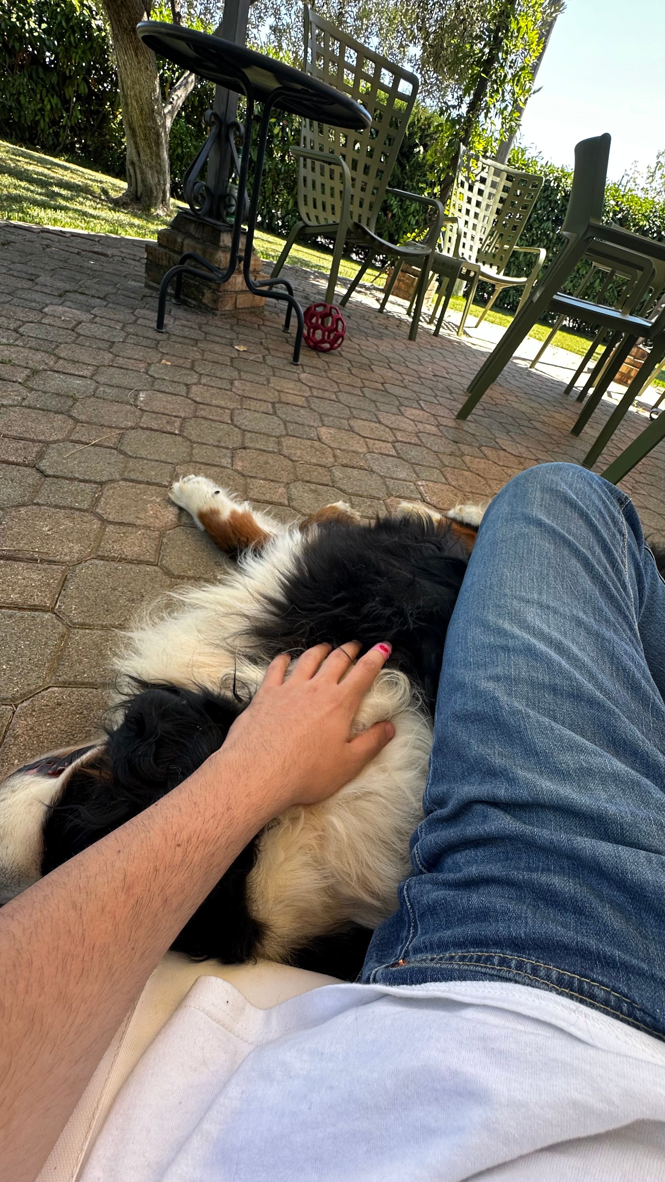 image-12