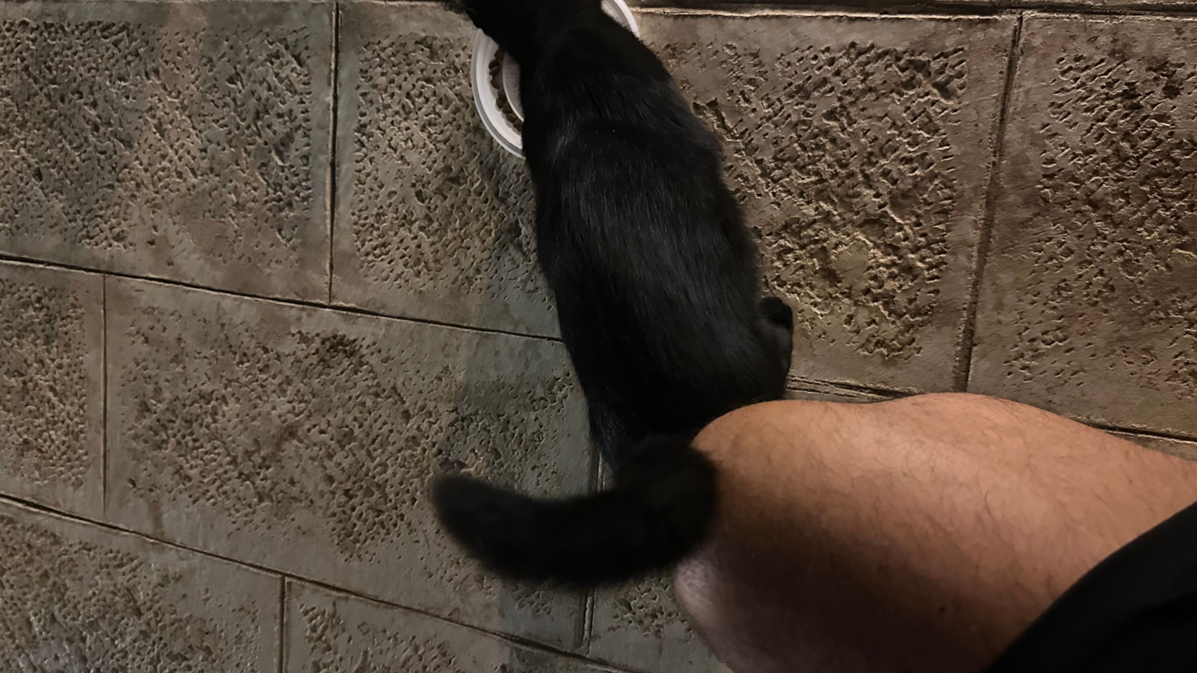 image-9