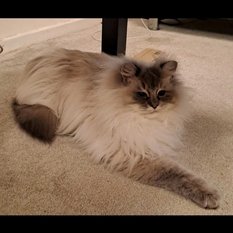 charlie