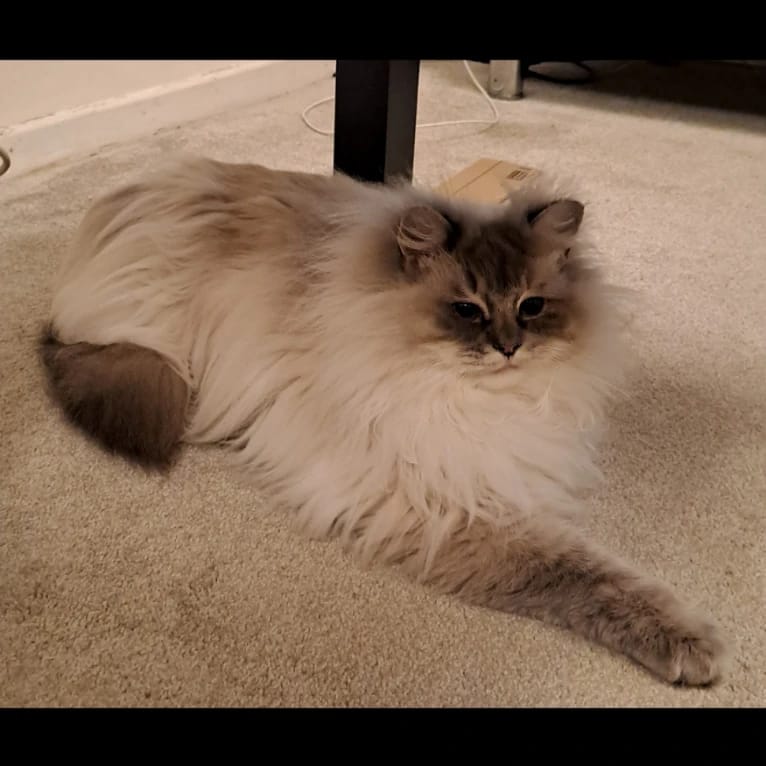 charlie