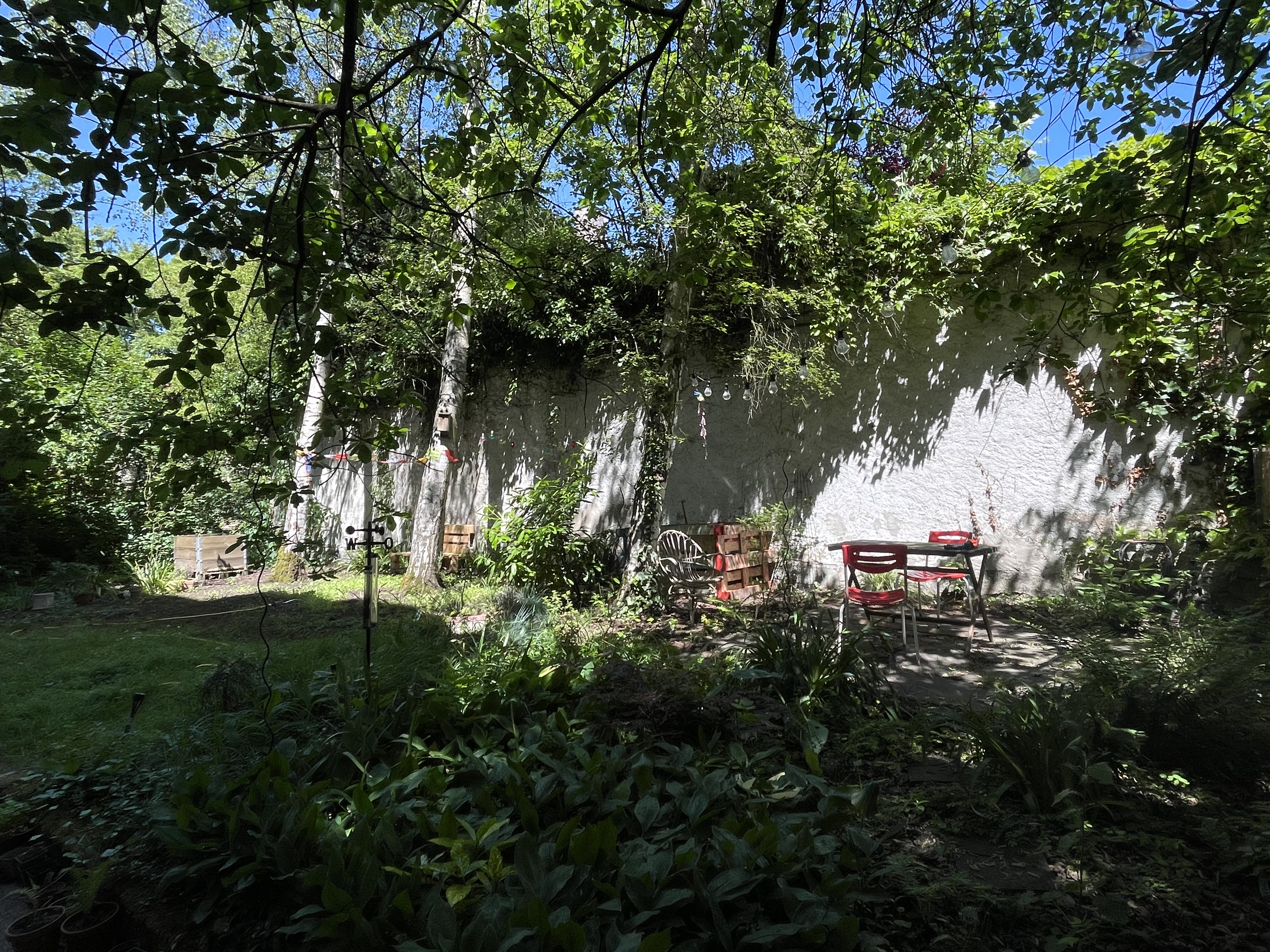 image-36