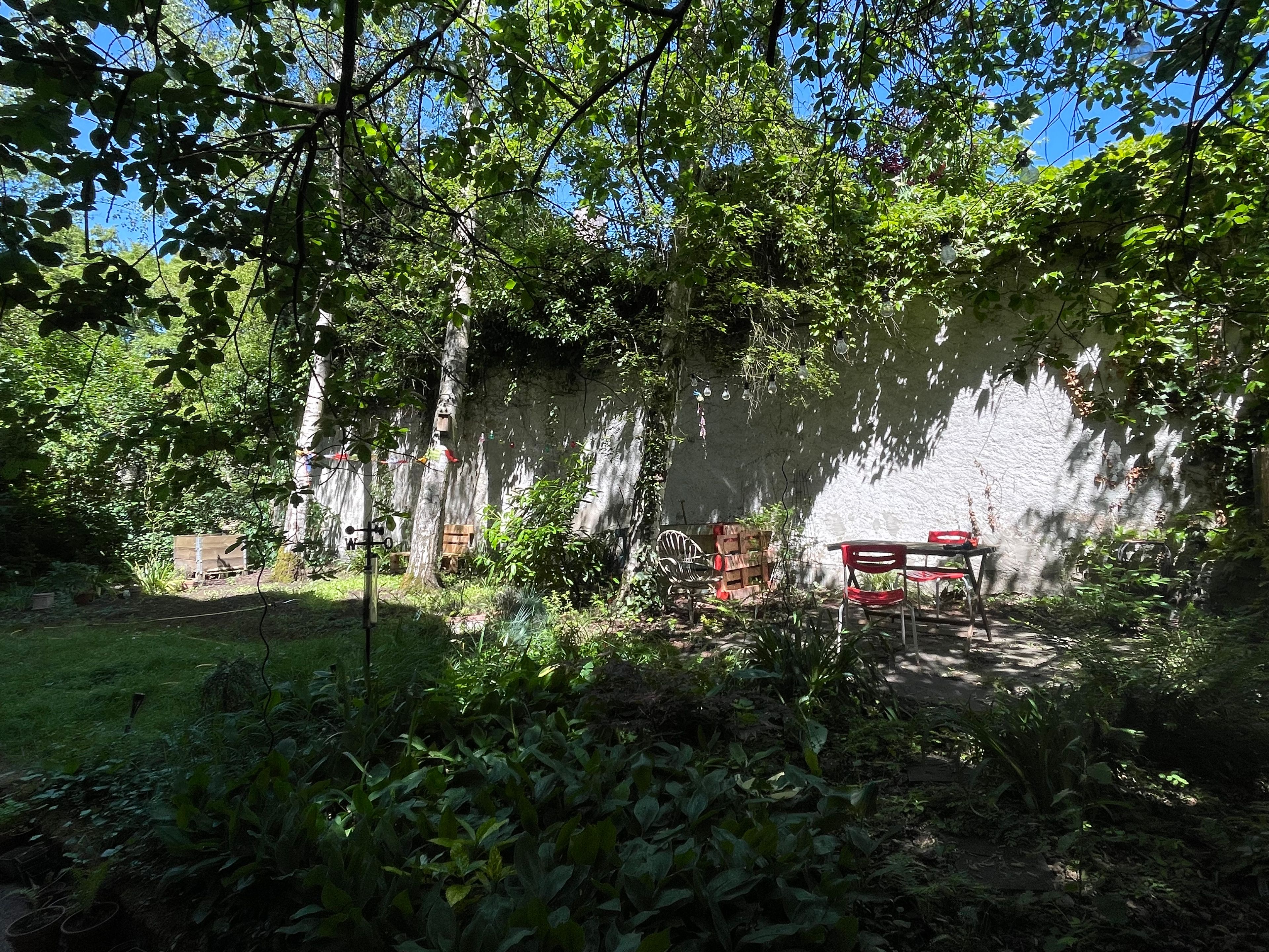 image-36