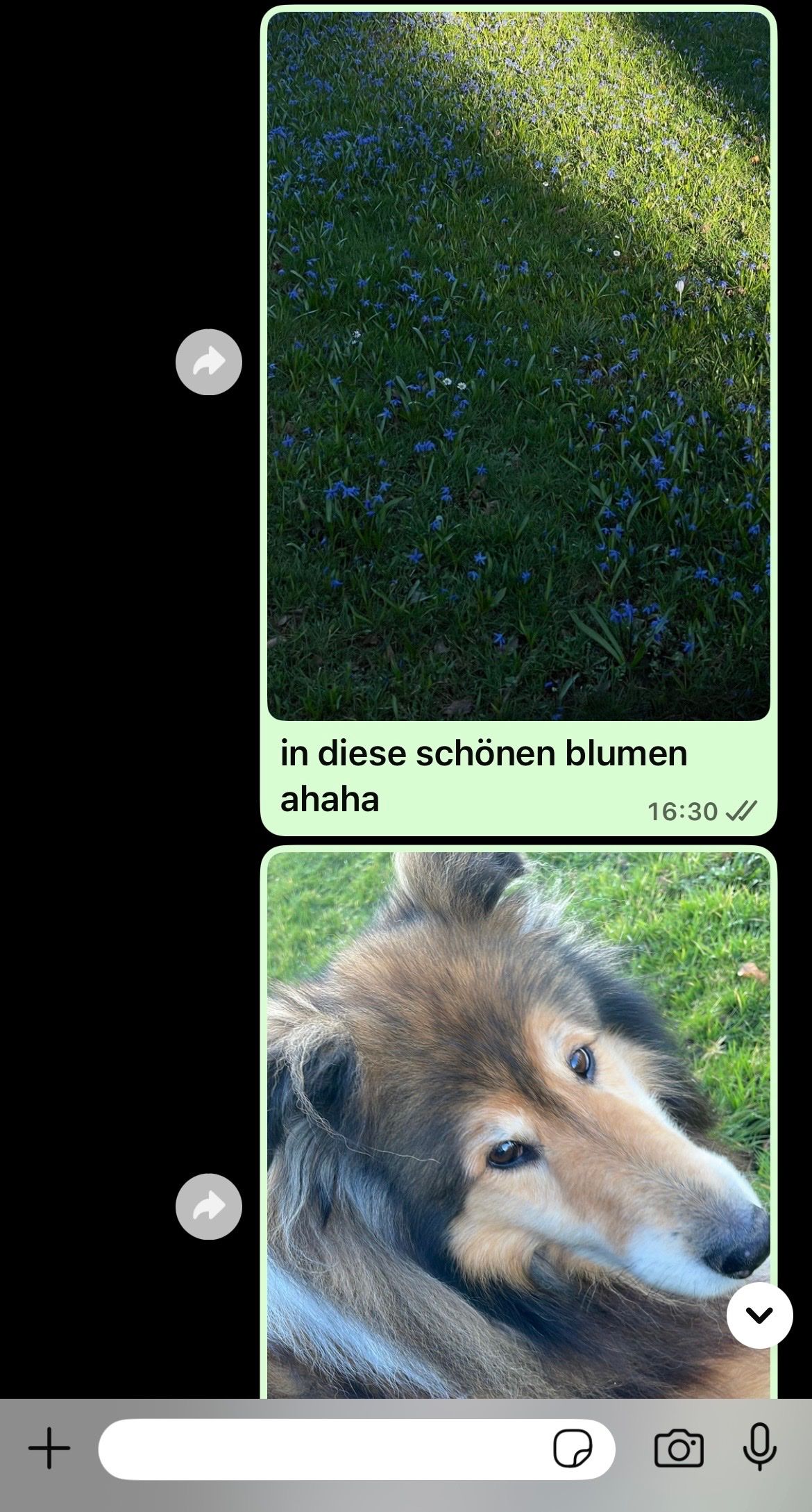 image-0