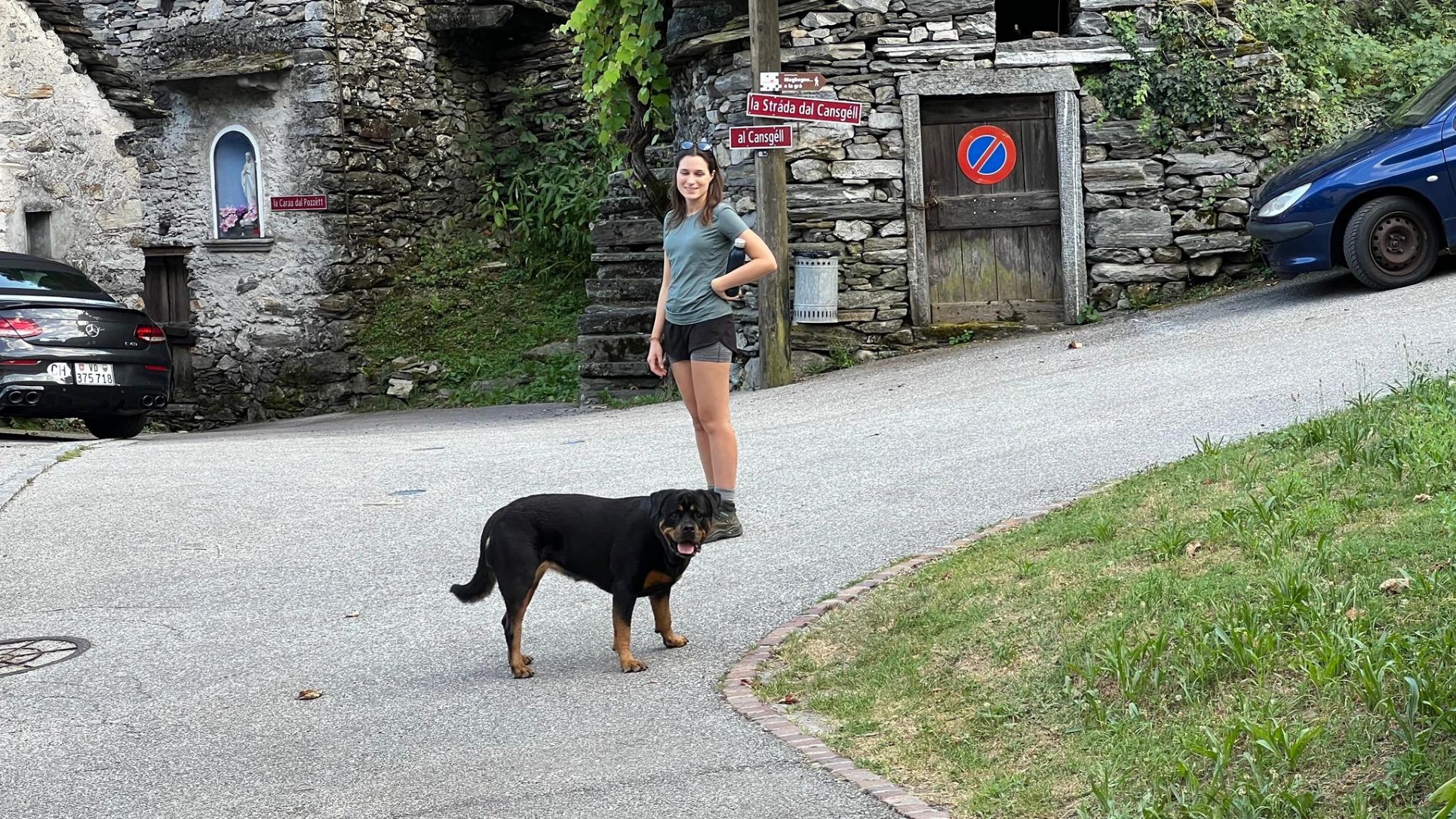 image-6