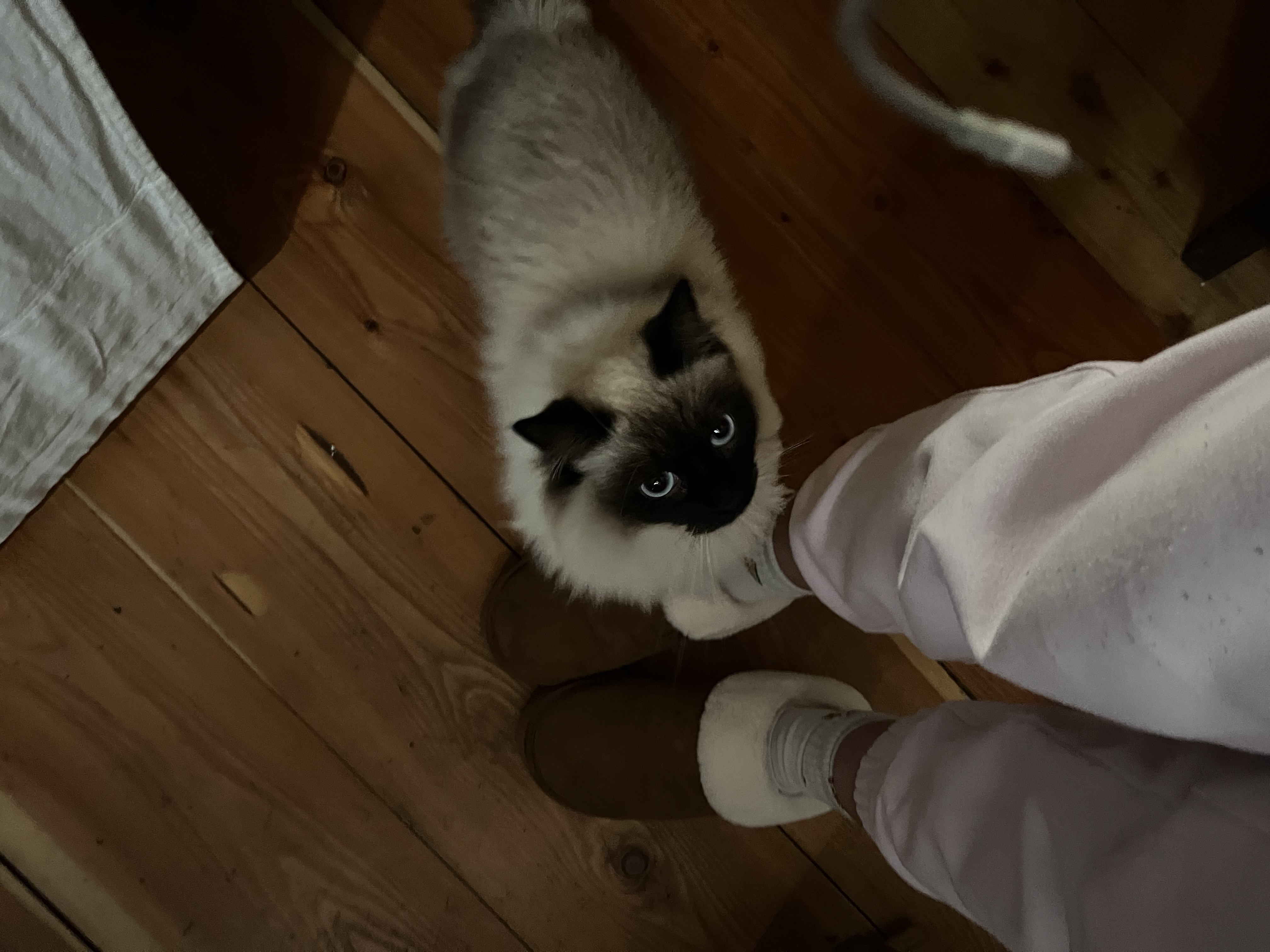 image-5