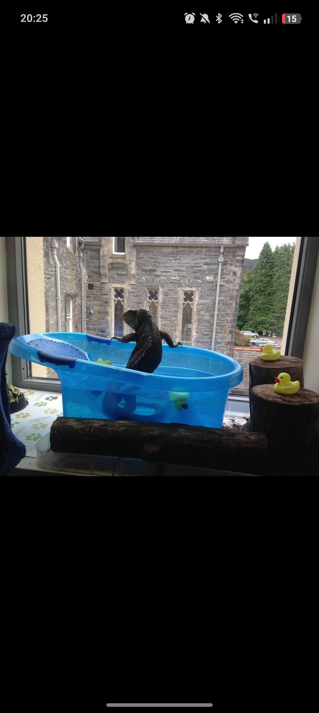 image-17