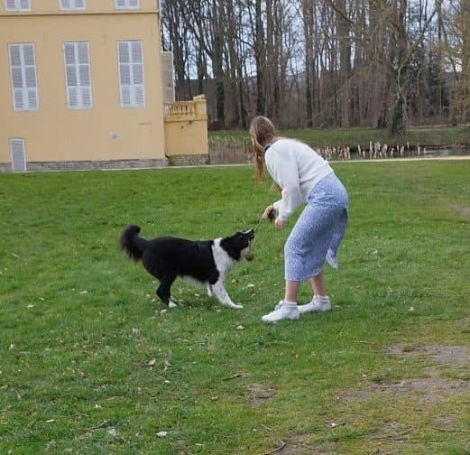 image-2