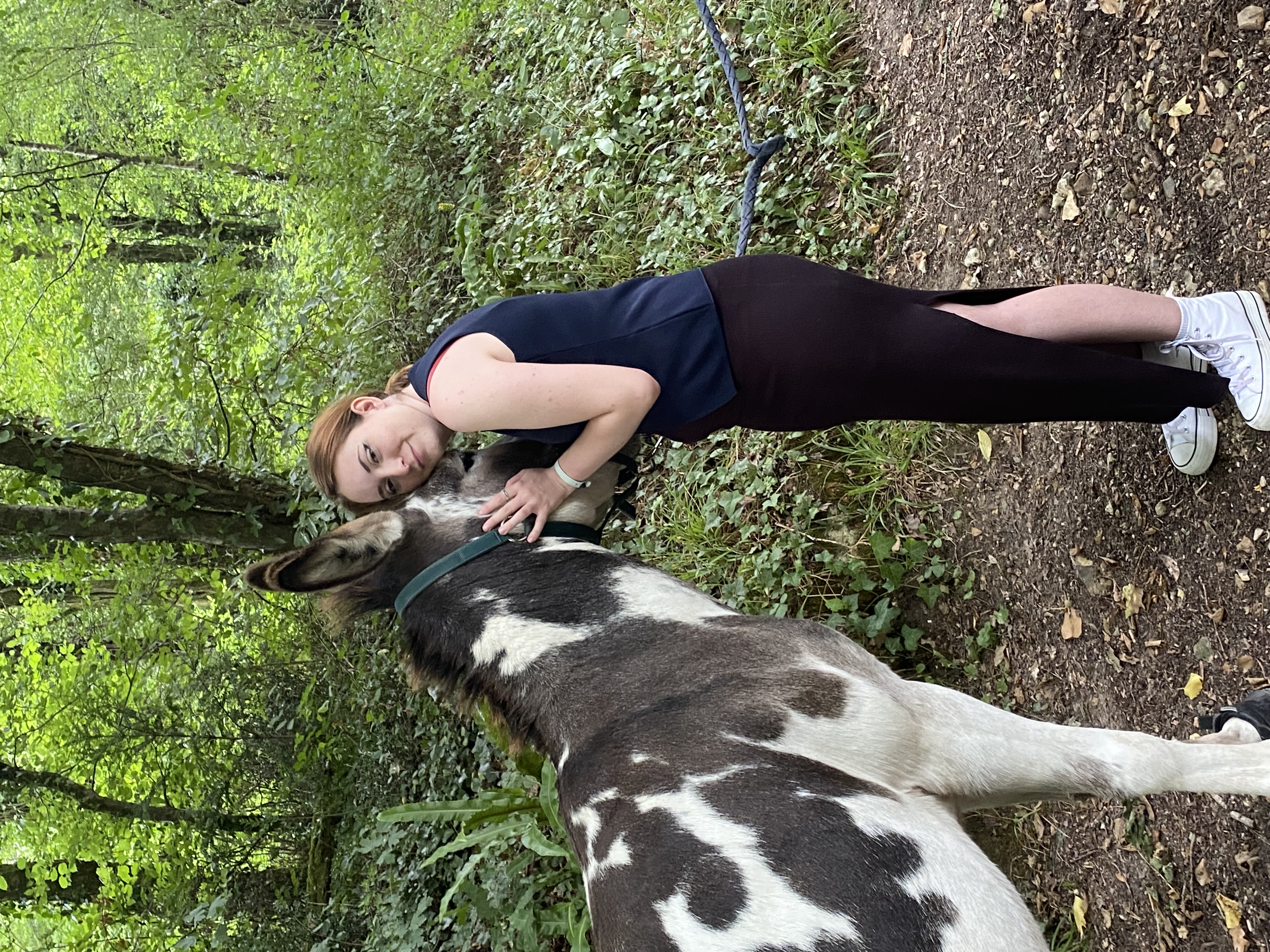 image-6