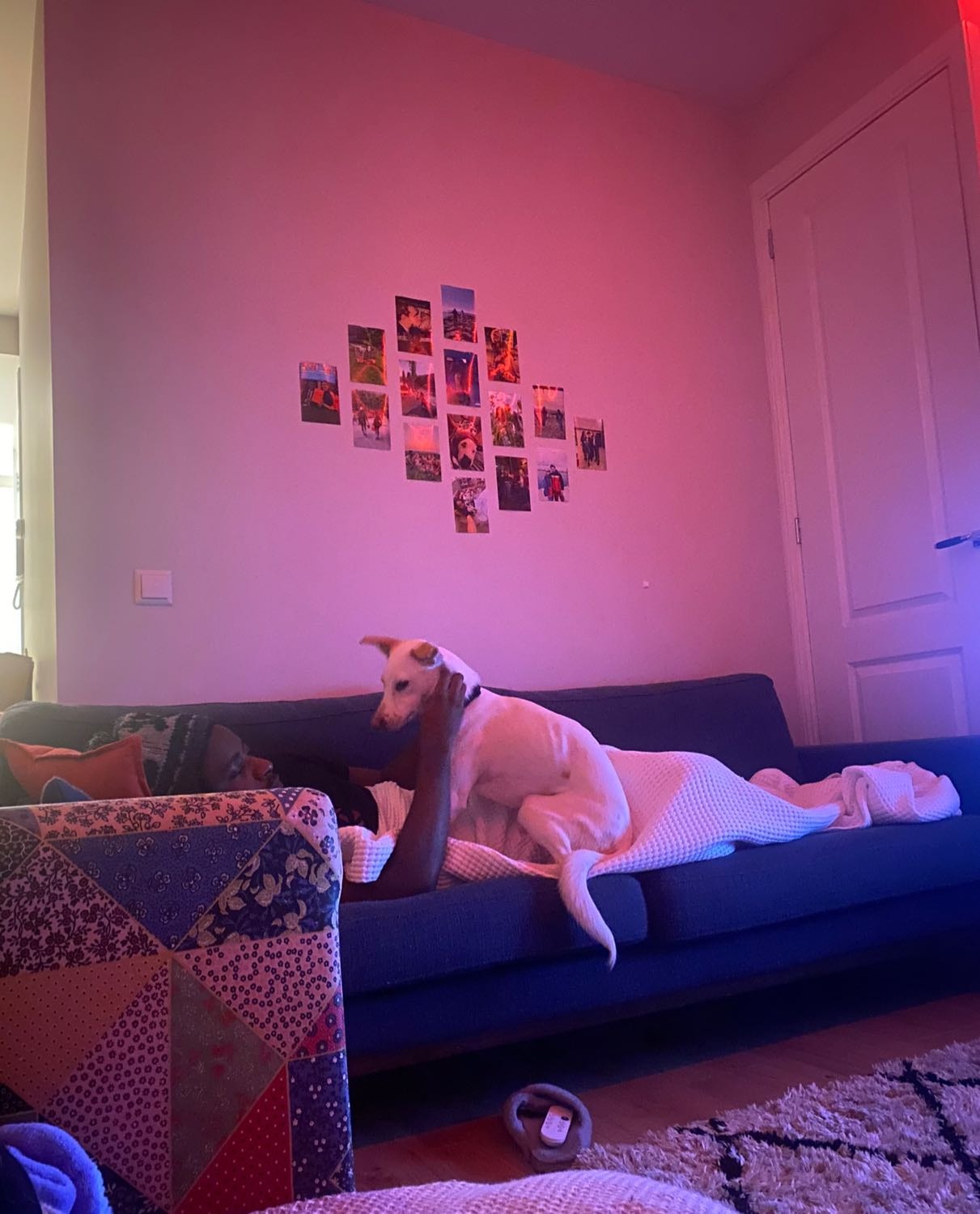 image-8