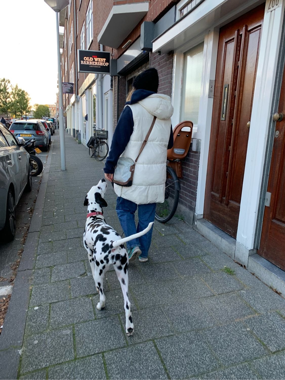 image-5