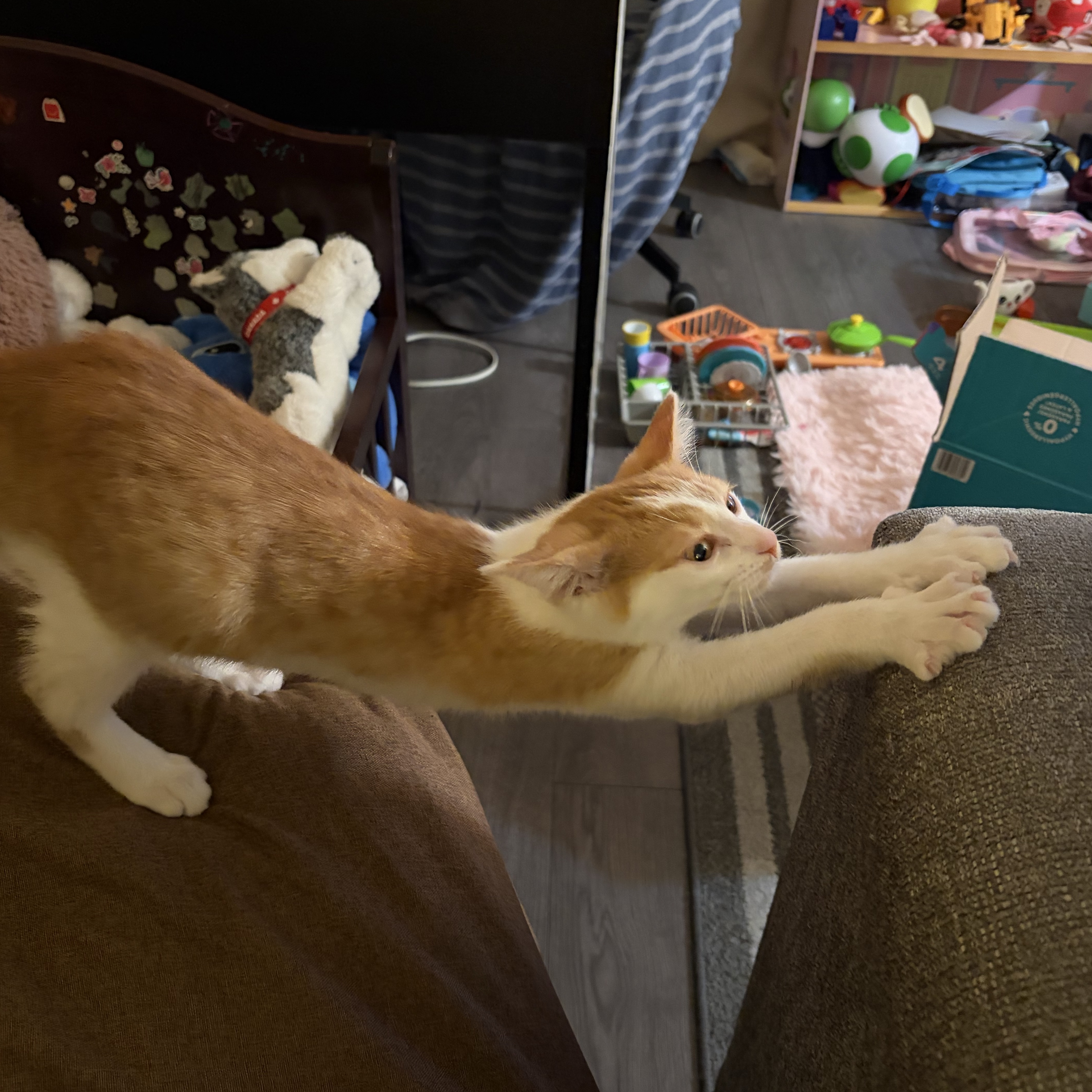 Milo