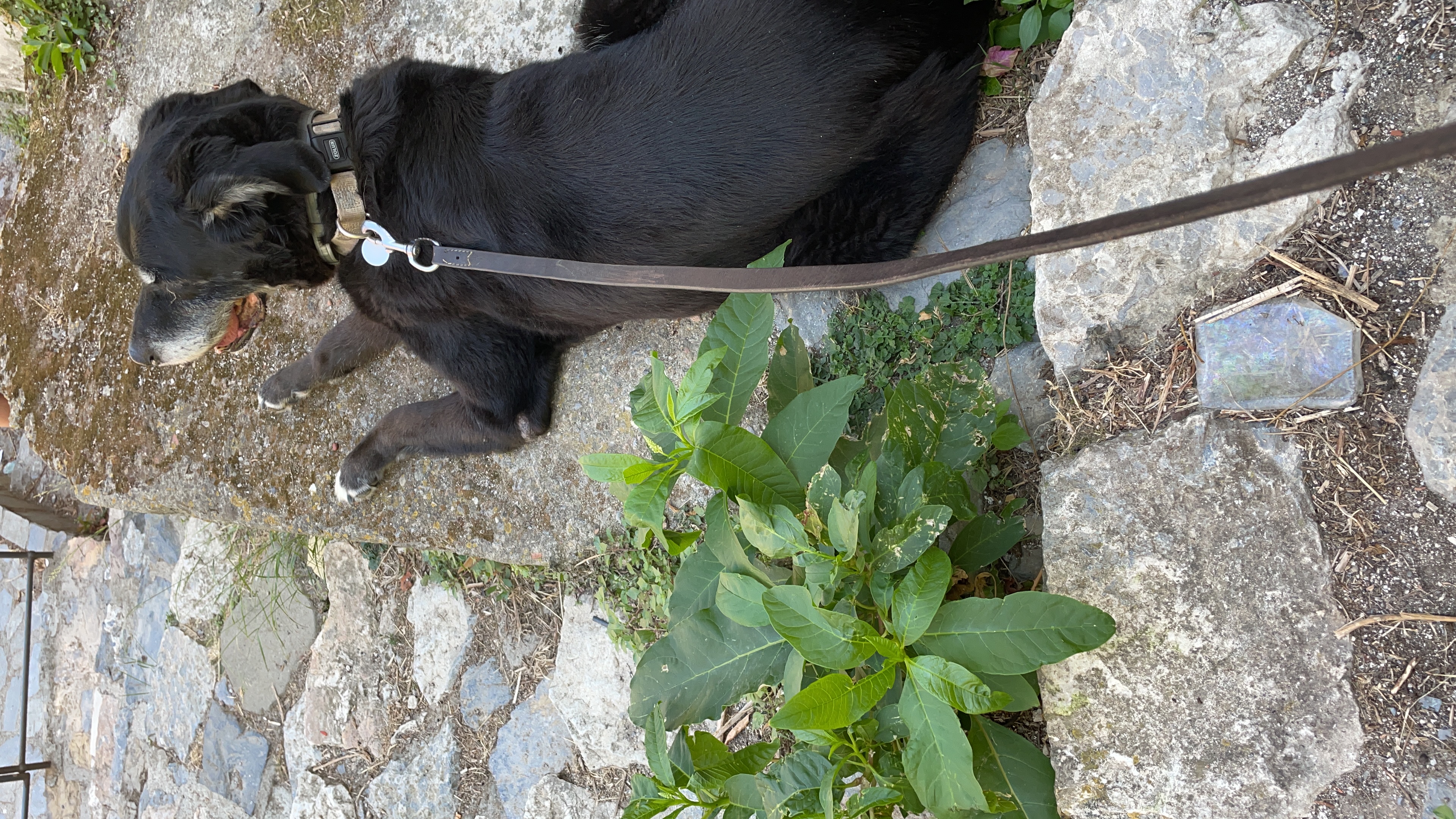 image-15