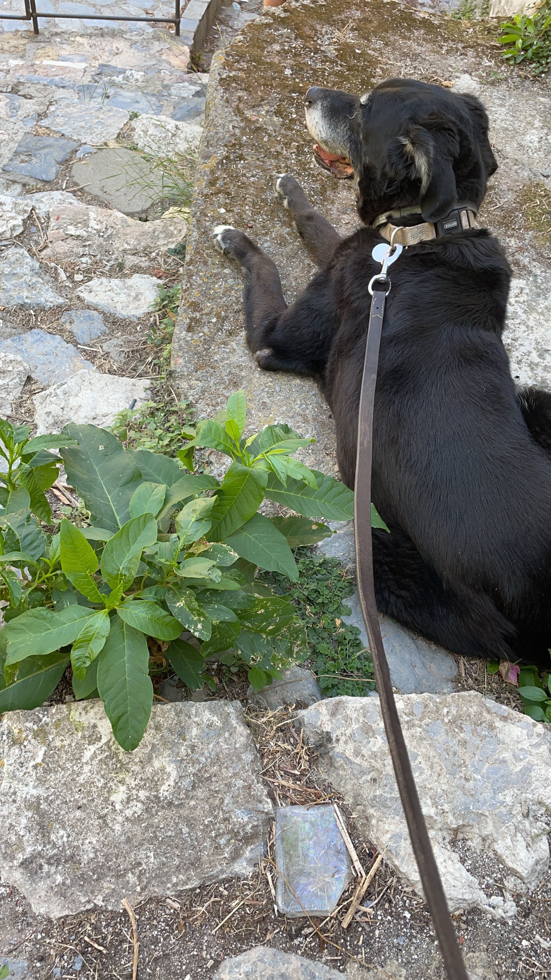image-15