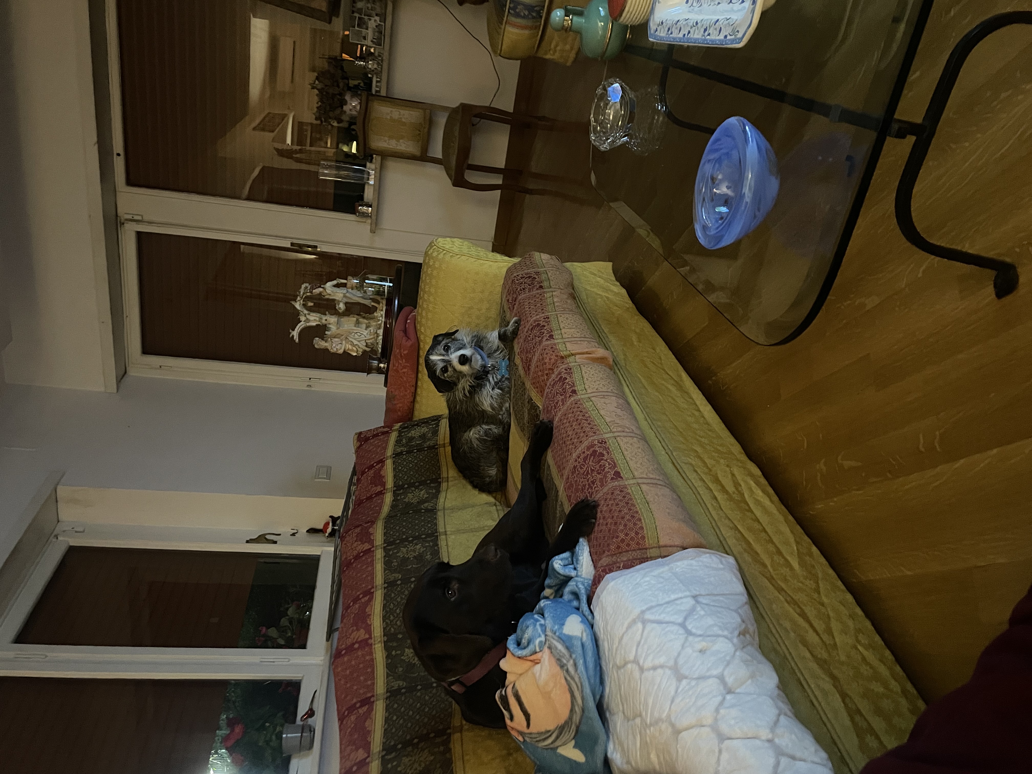 image-27