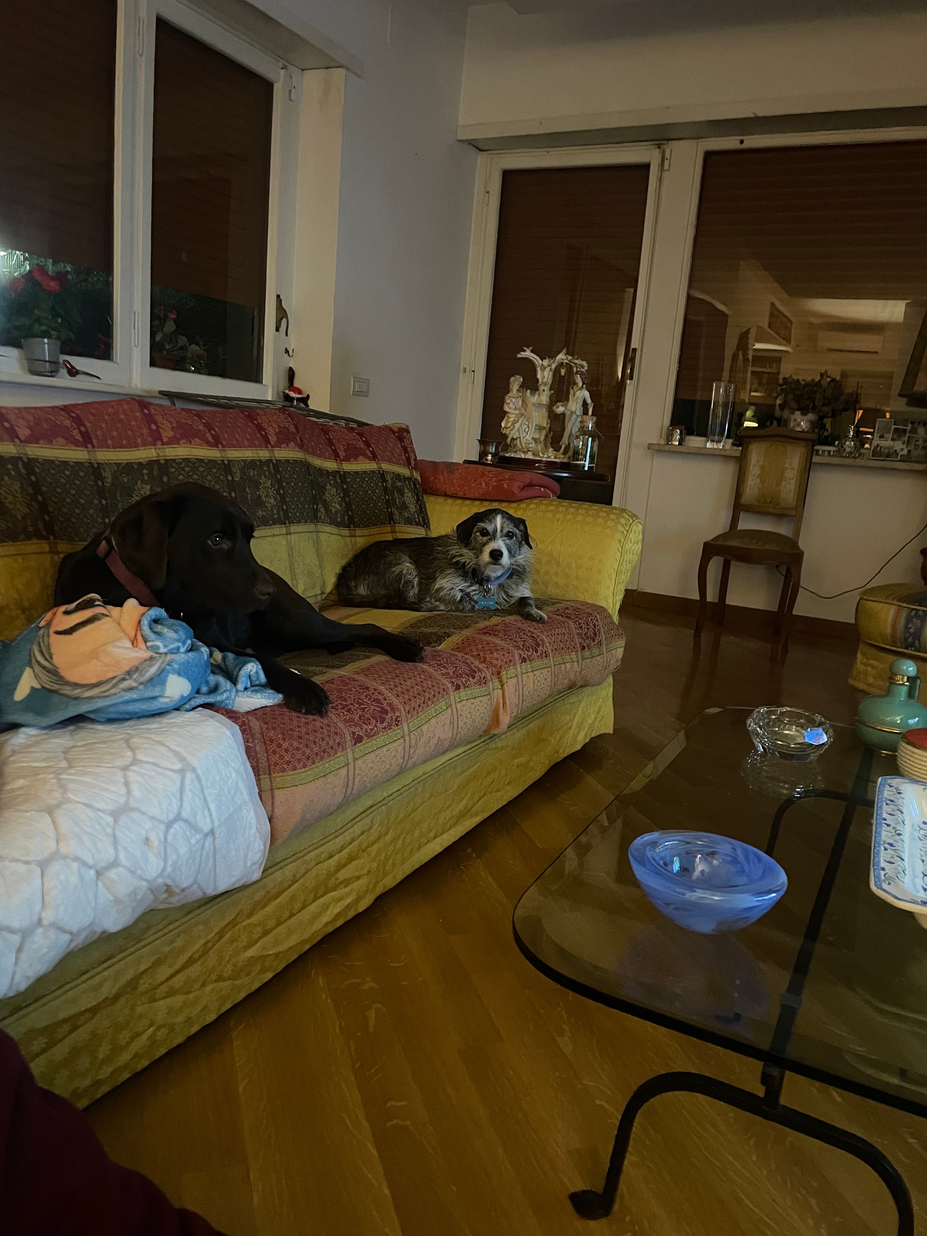 image-27