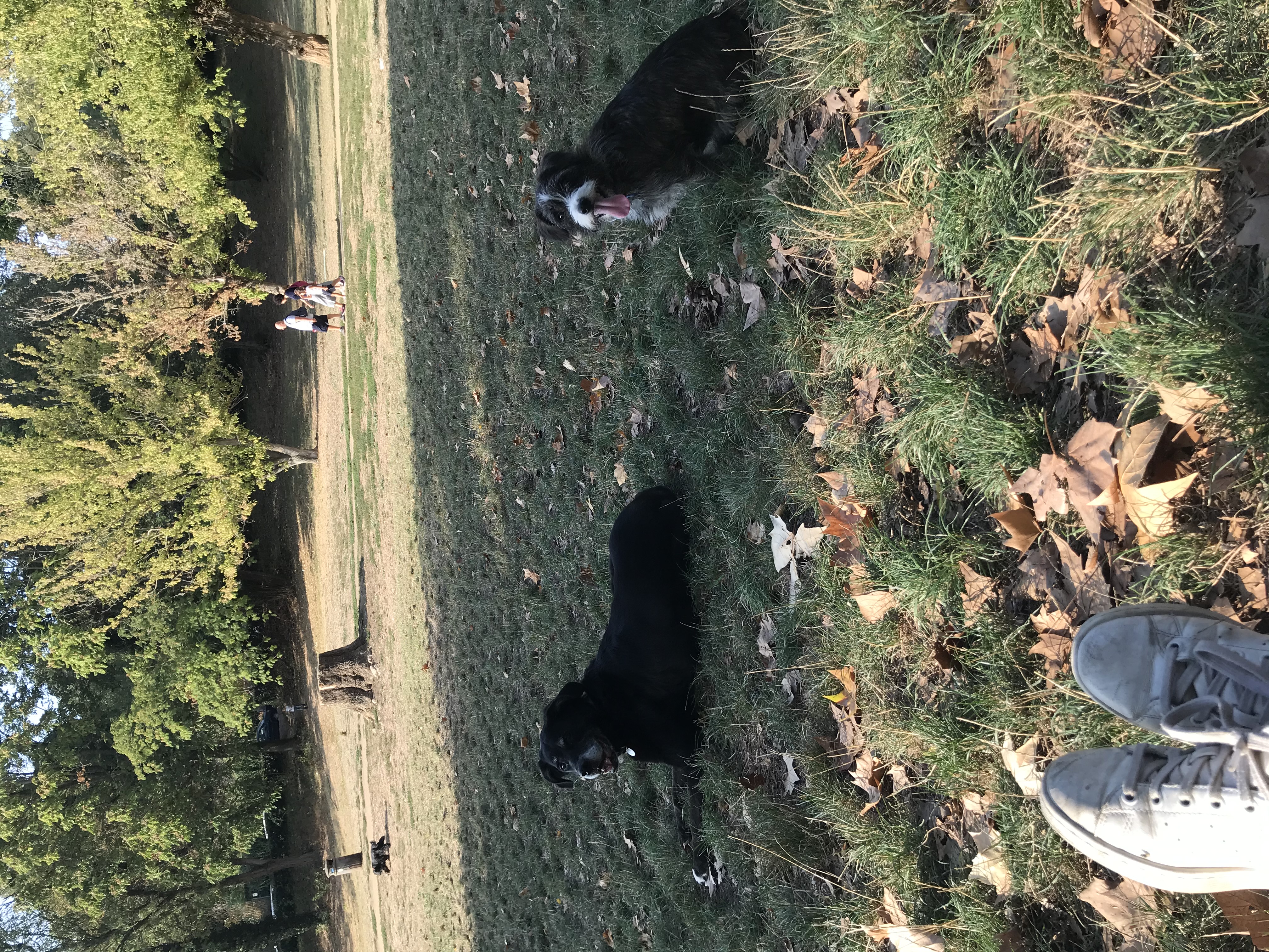 image-6